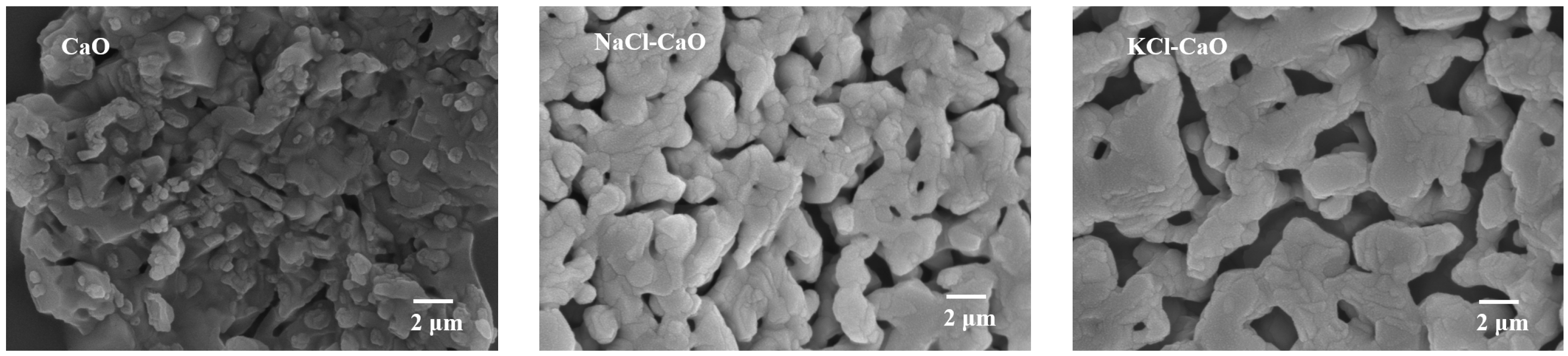 Molecules 29 06058 g005