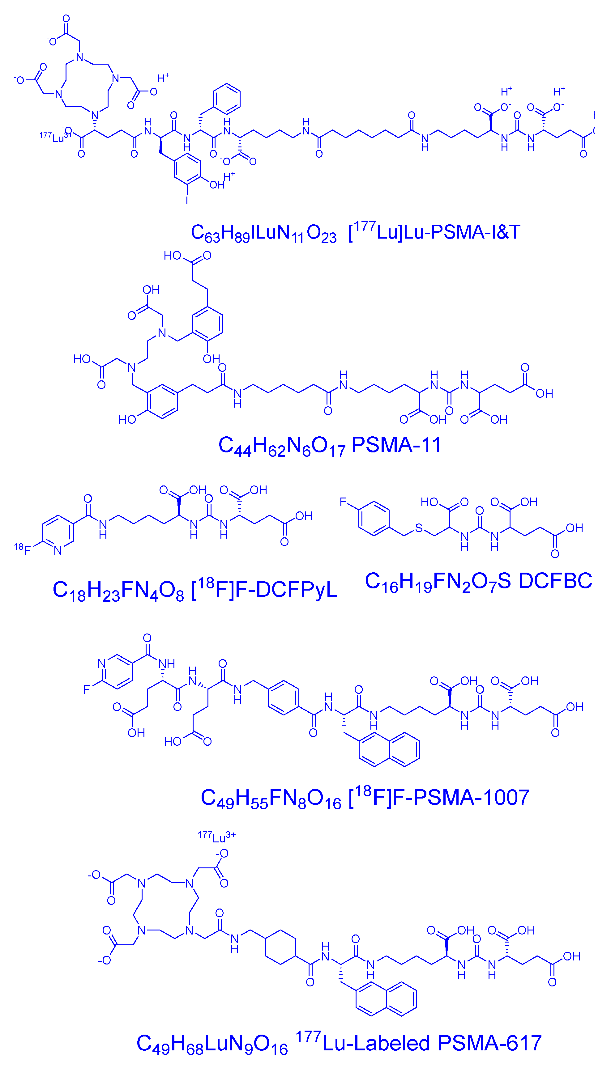 Molecules 29 06062 g002