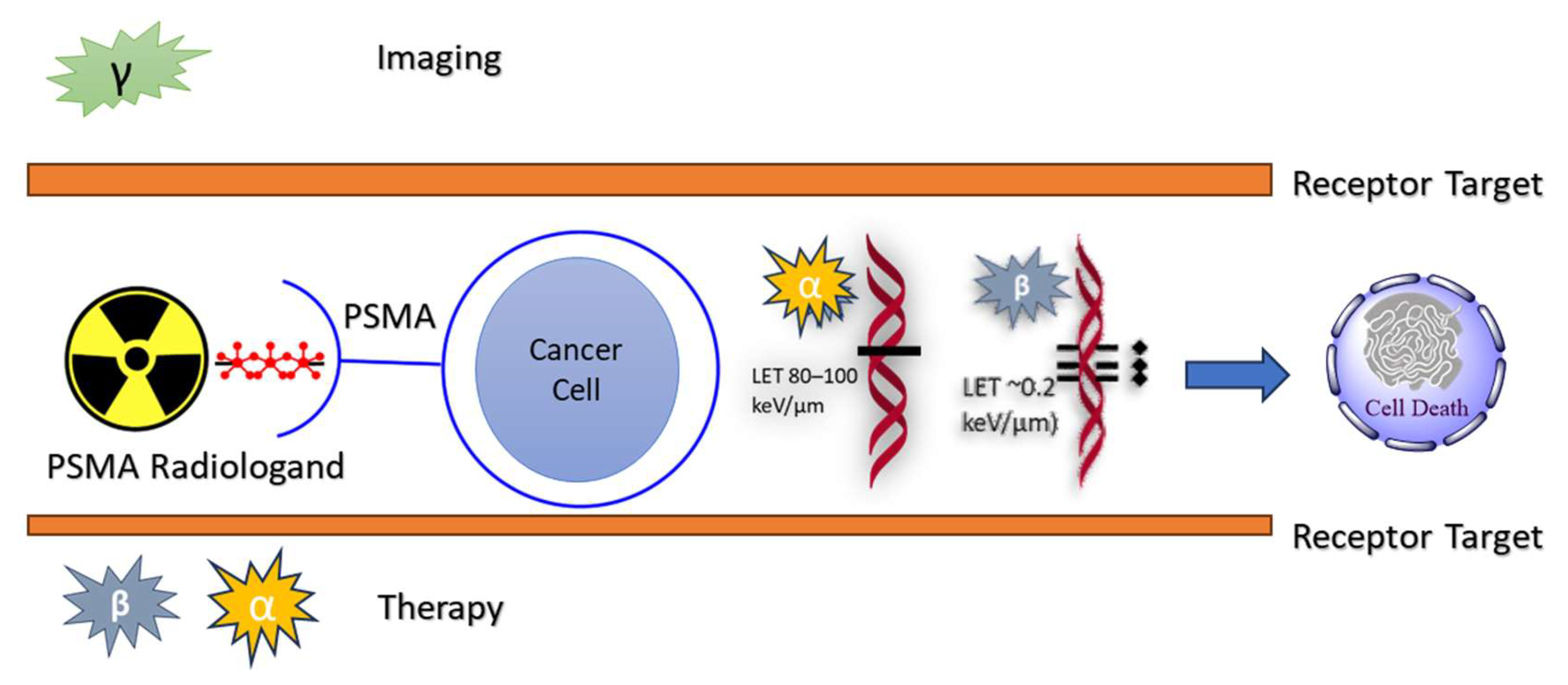 Molecules 29 06062 g004