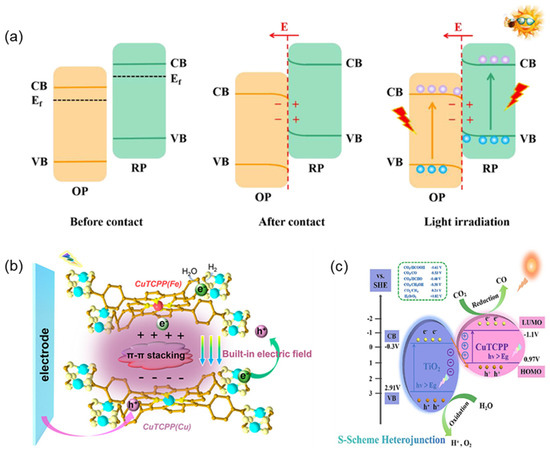 Molecules 29 06063 g011