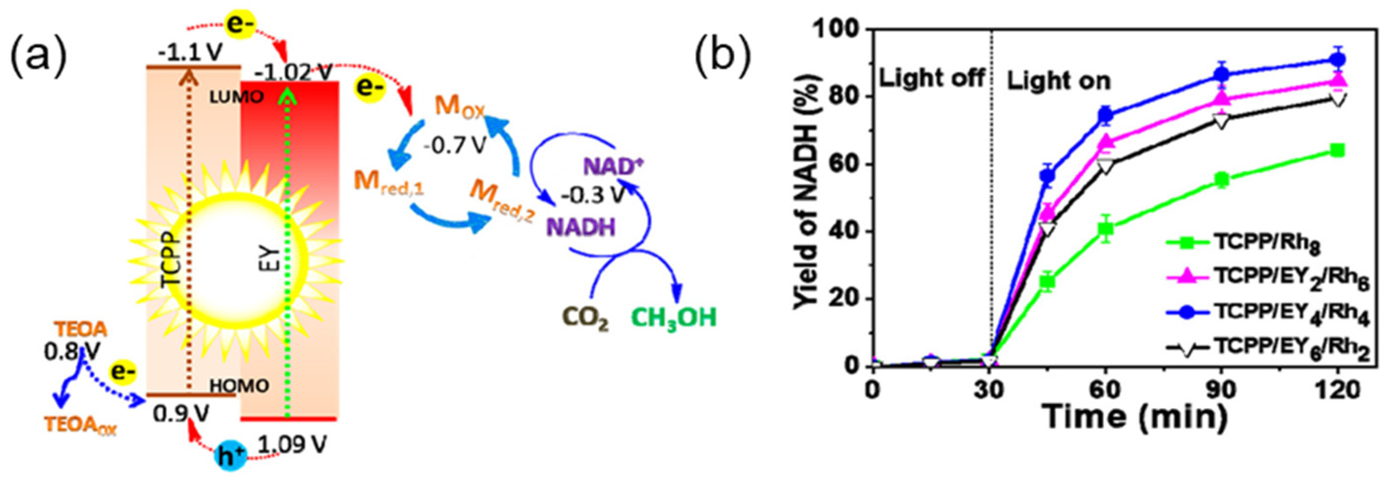 Molecules 29 06063 g018 Molecules 29 06063 g018