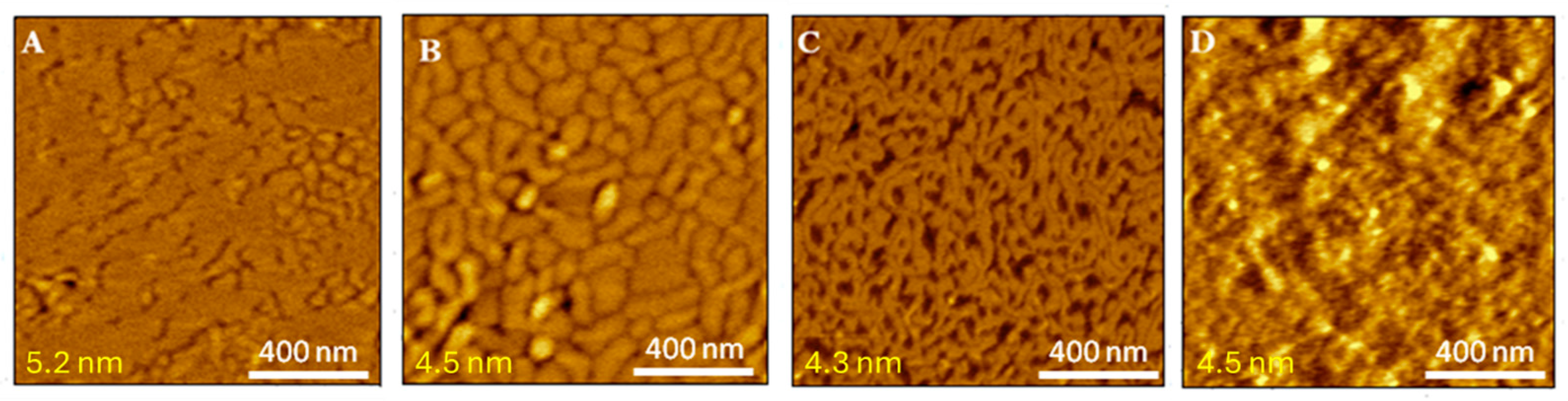 Molecules 29 06064 g005 Molecules 29 06064 g005