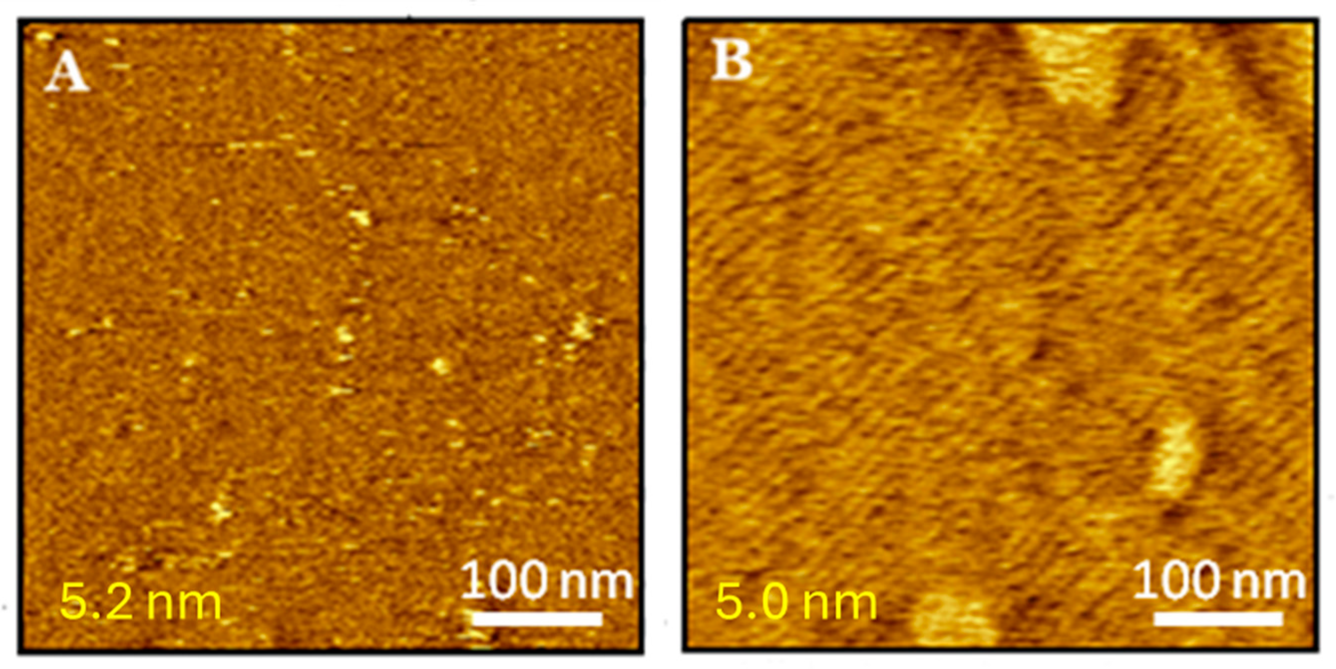 Molecules 29 06064 g006 Molecules 29 06064 g006