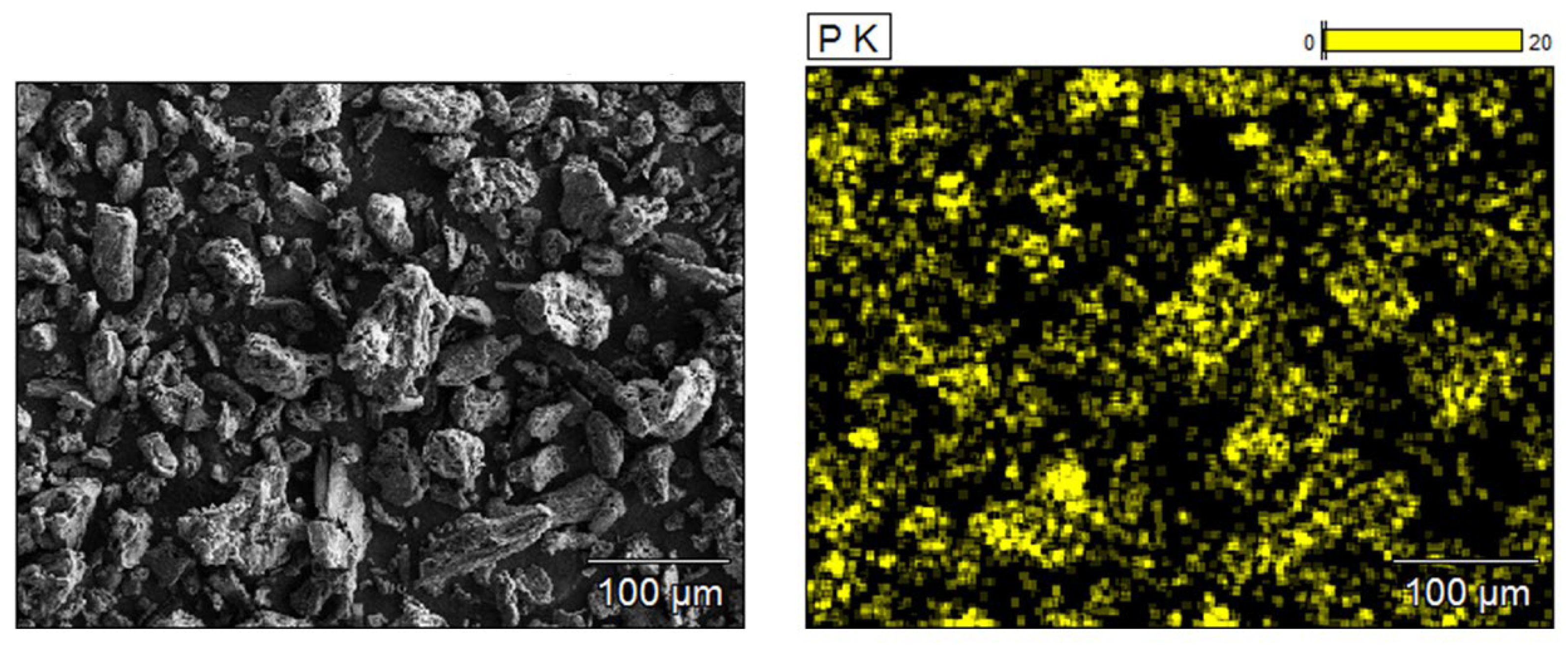 Molecules 29 06065 g001 Molecules 29 06065 g001
