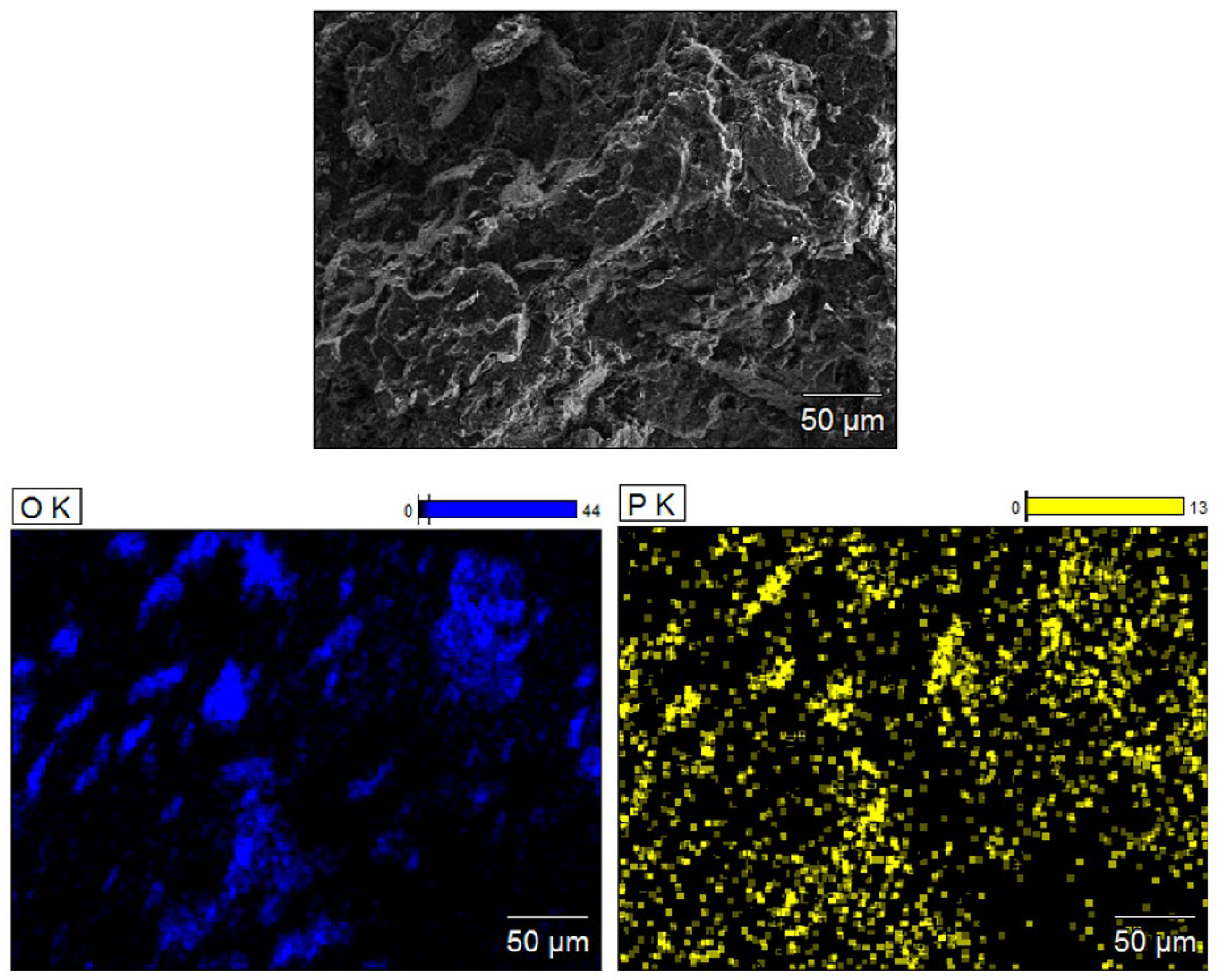 Molecules 29 06065 g005 Molecules 29 06065 g005