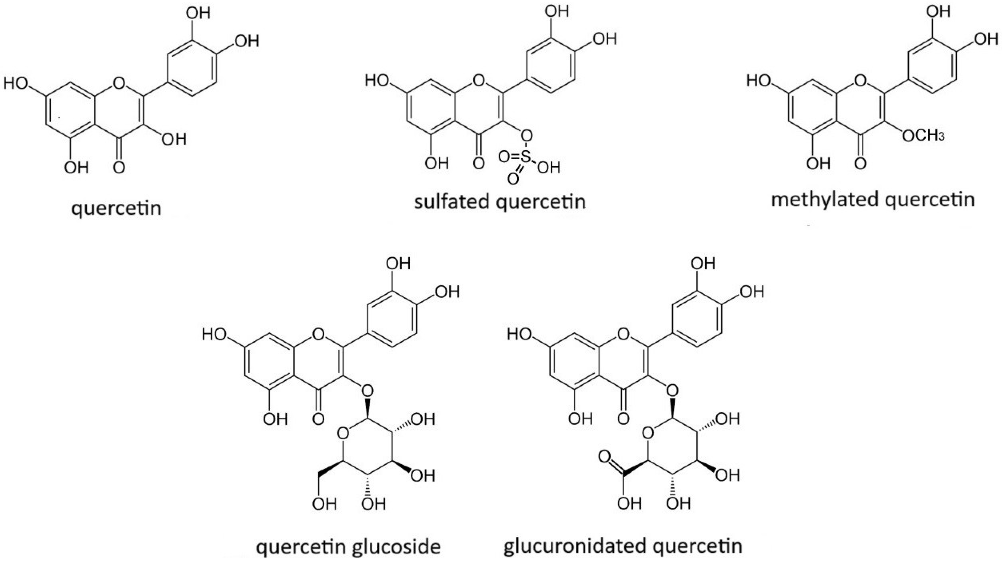 Molecules 30 00003 g004