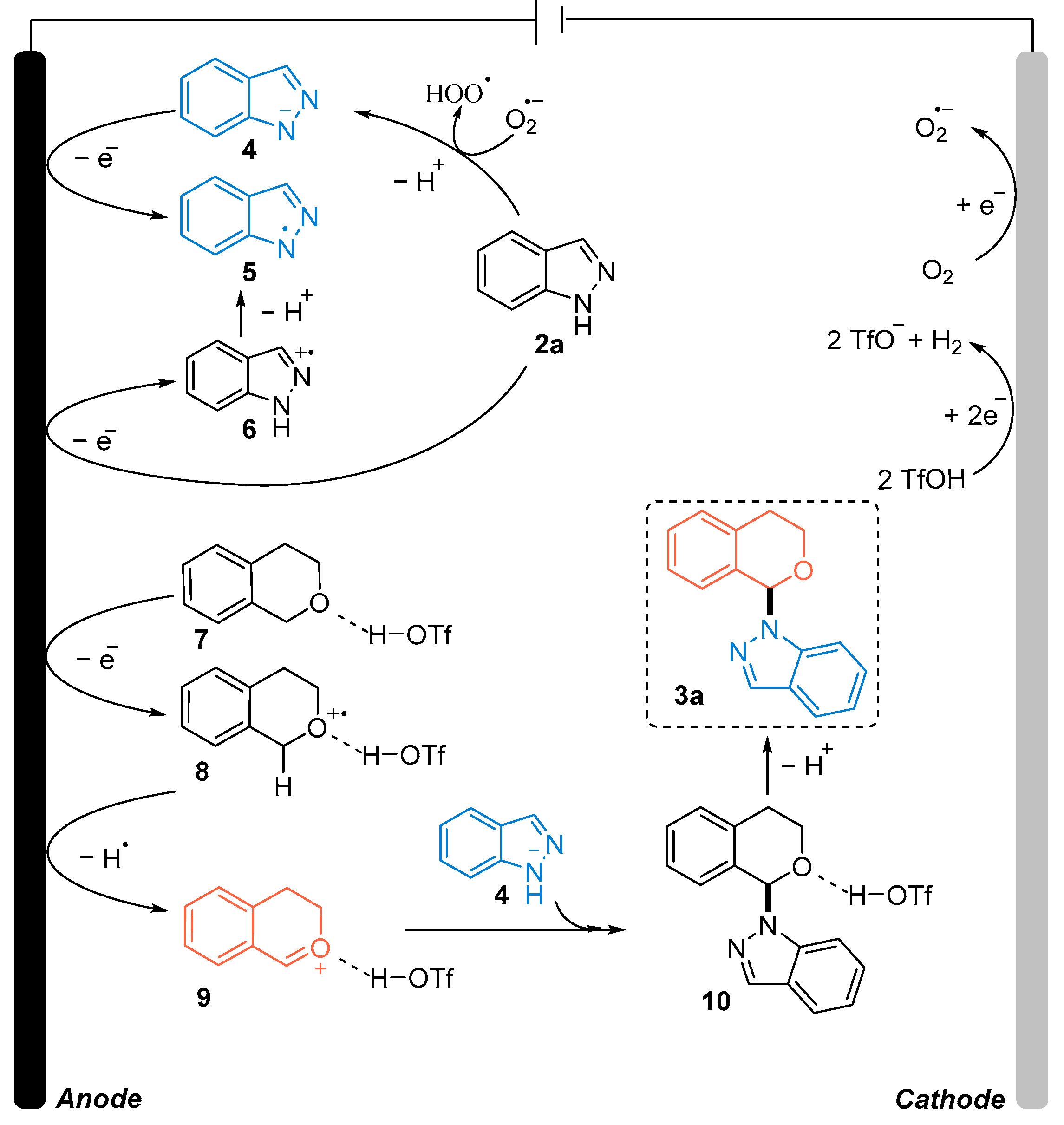 Molecules 30 00004 sch005