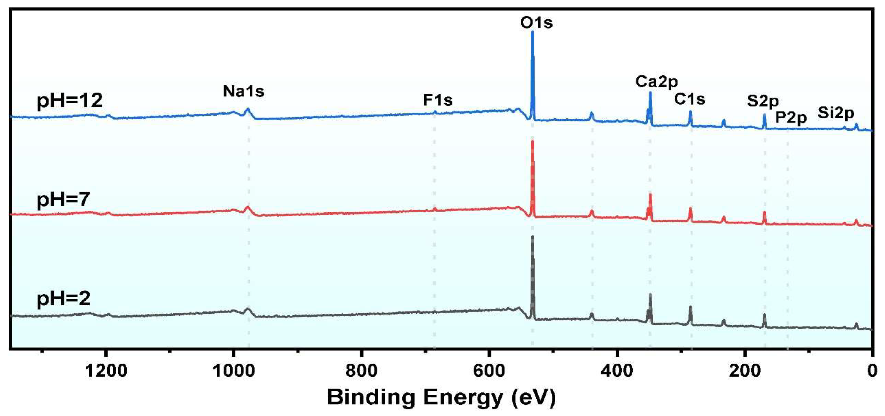Molecules 30 00005 g012