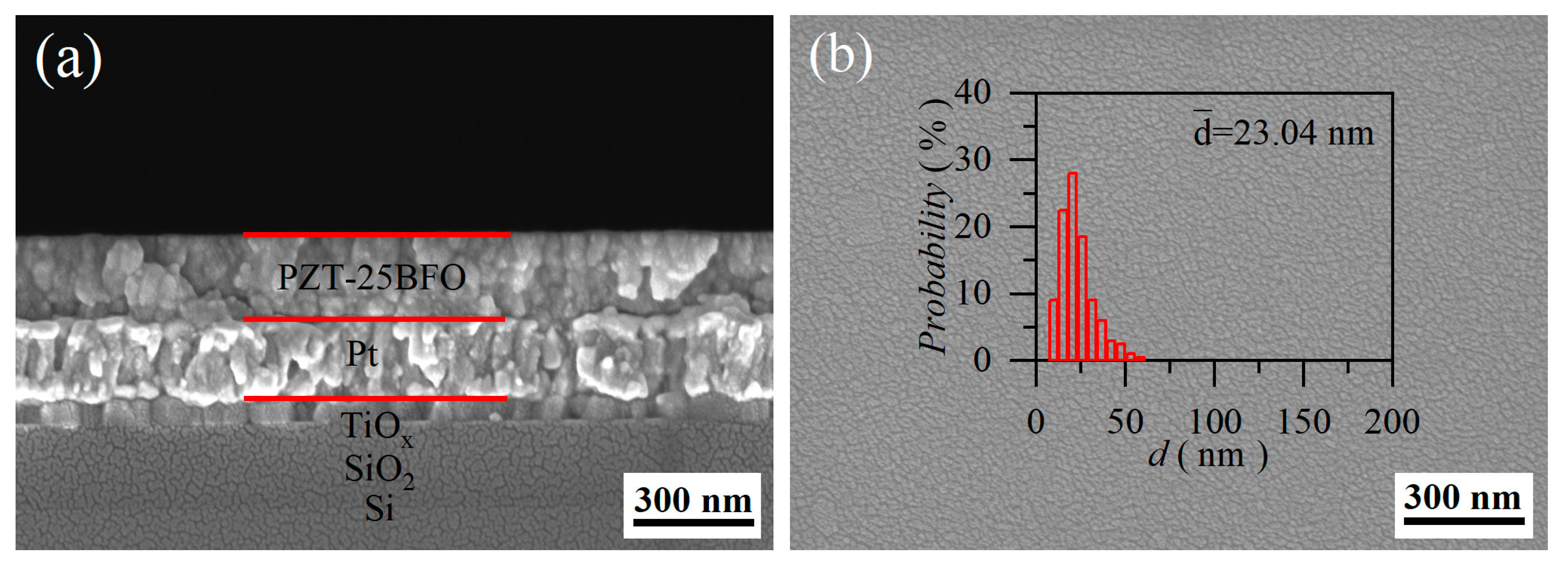 Molecules 30 00008 g002a