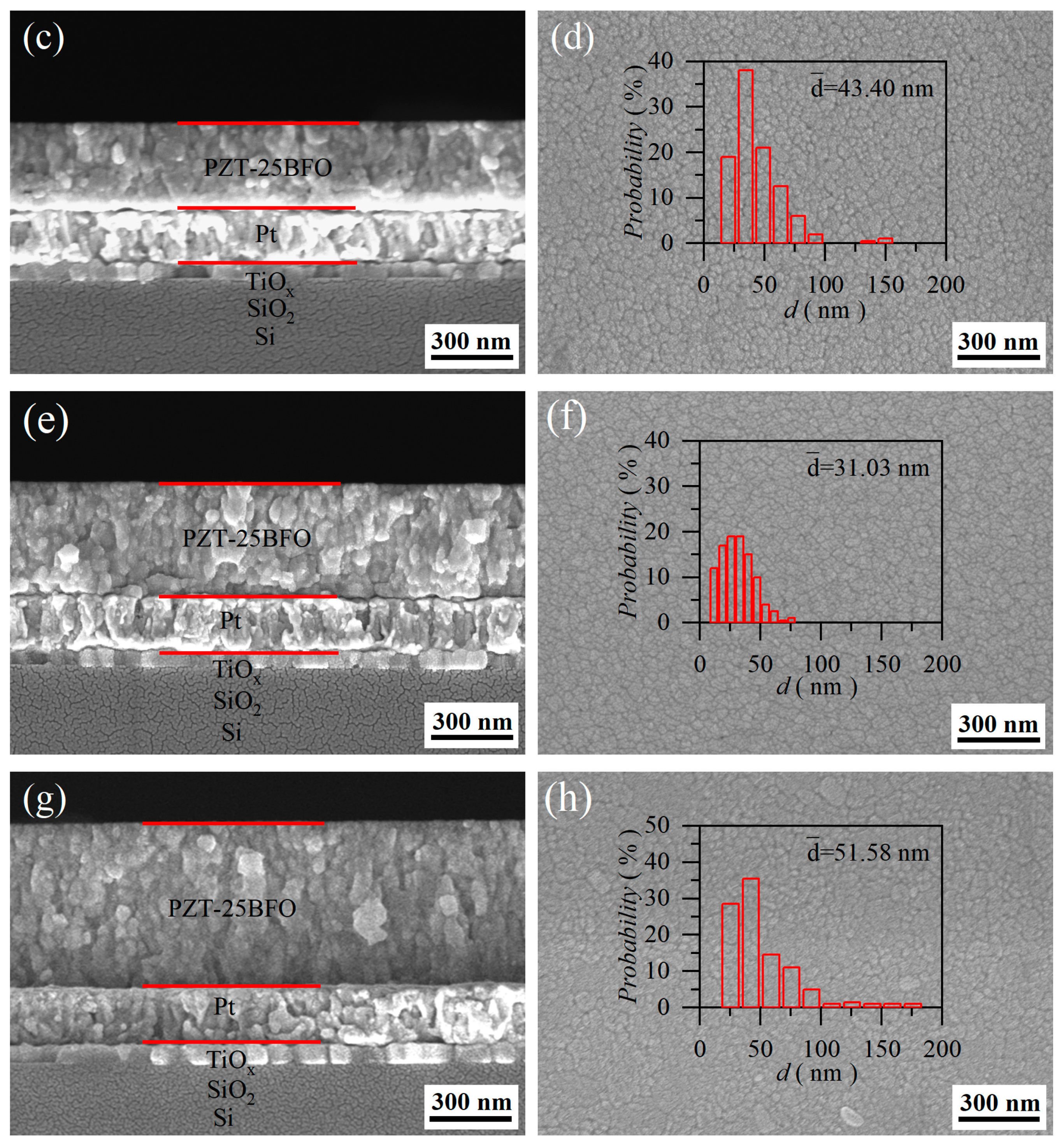 Molecules 30 00008 g002b