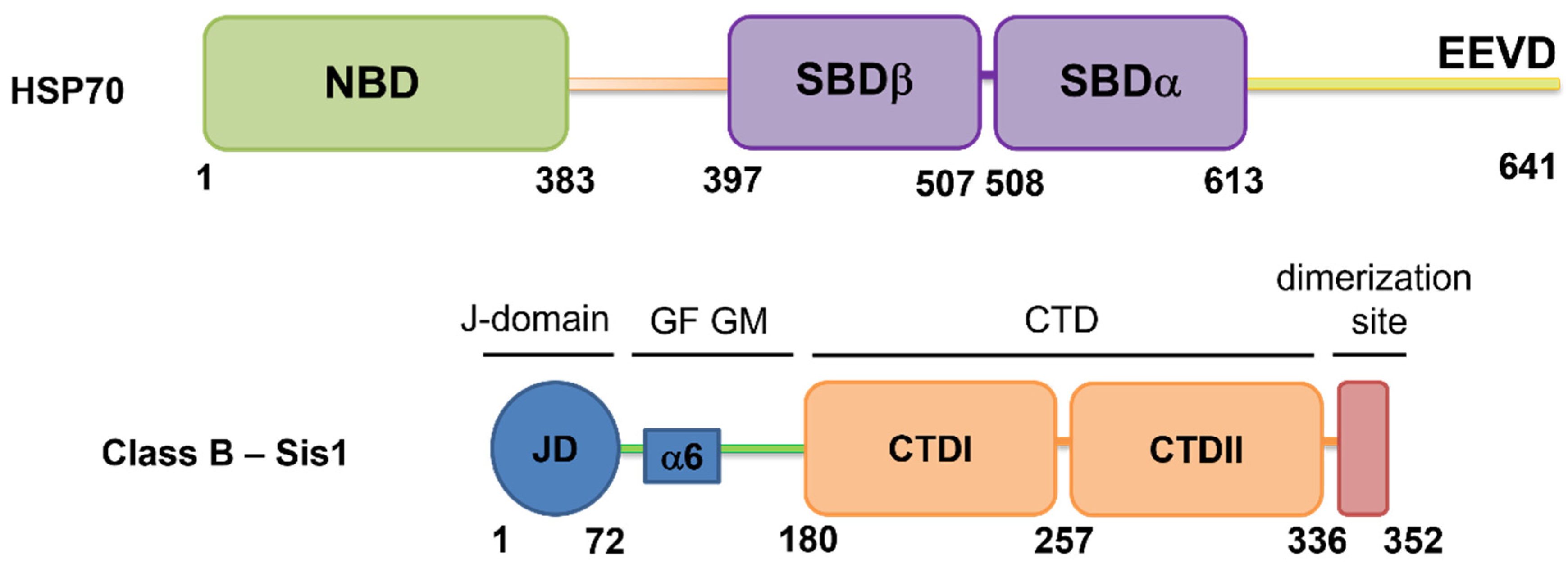 Molecules 30 00011 g001