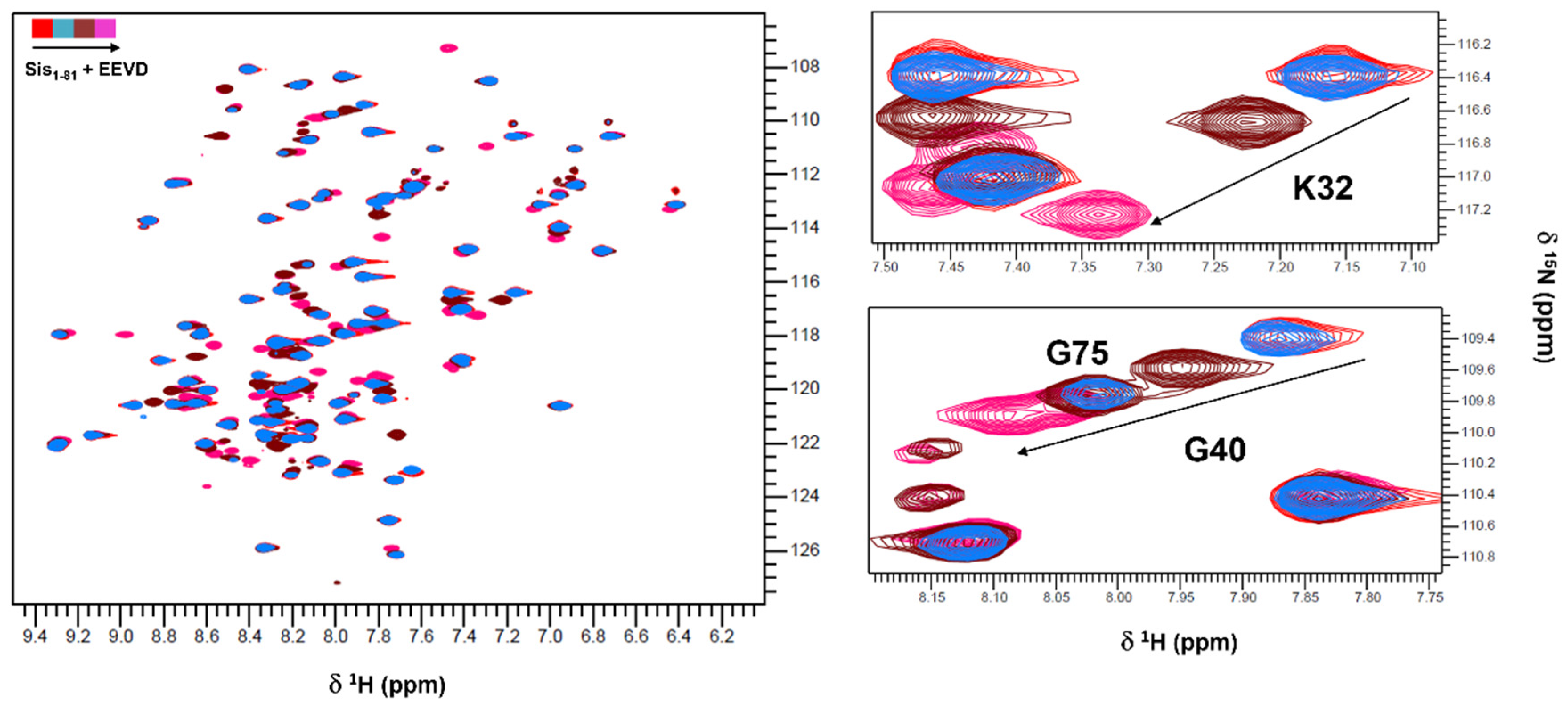 Molecules 30 00011 g002