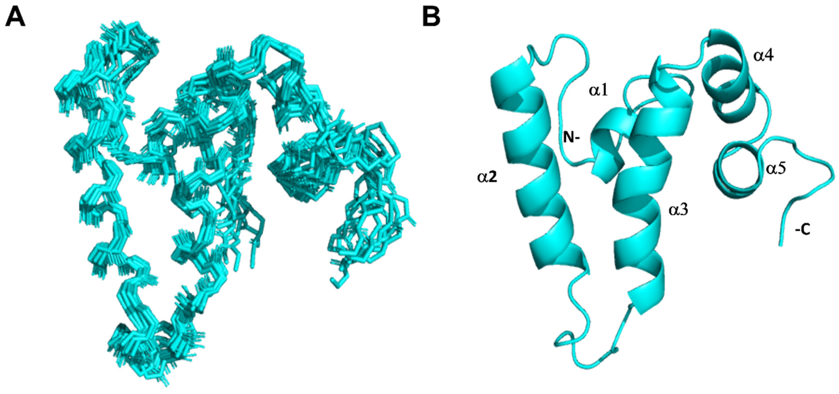 Molecules 30 00011 g003
