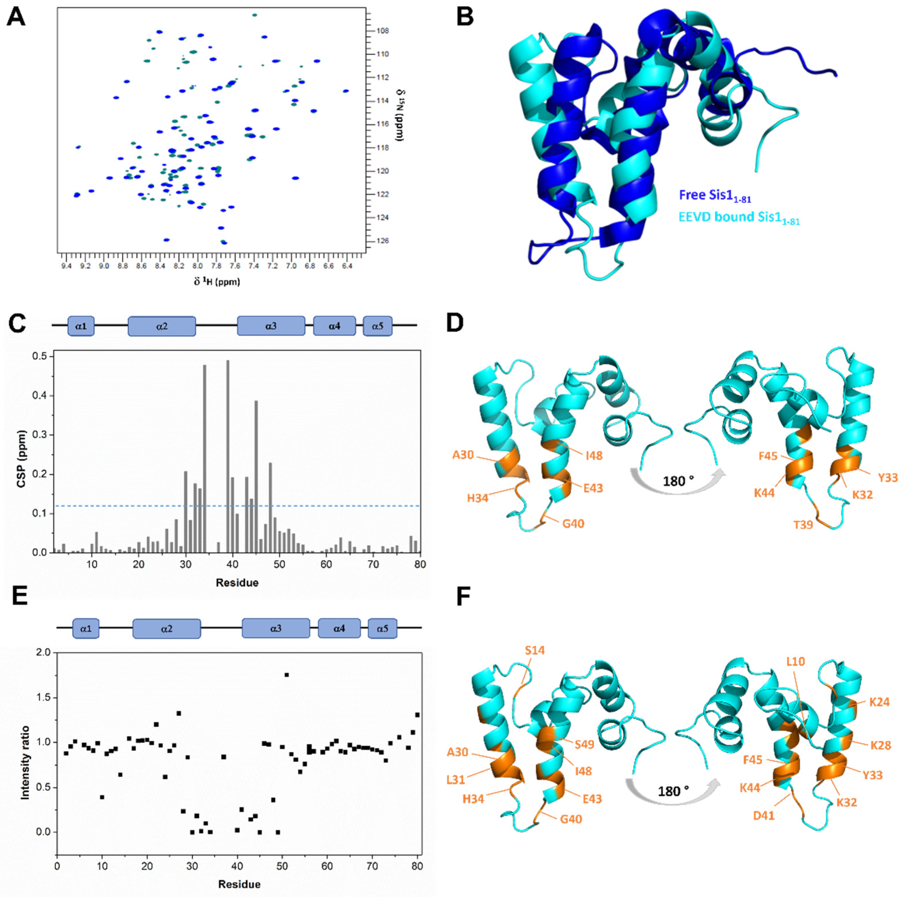 Molecules 30 00011 g004