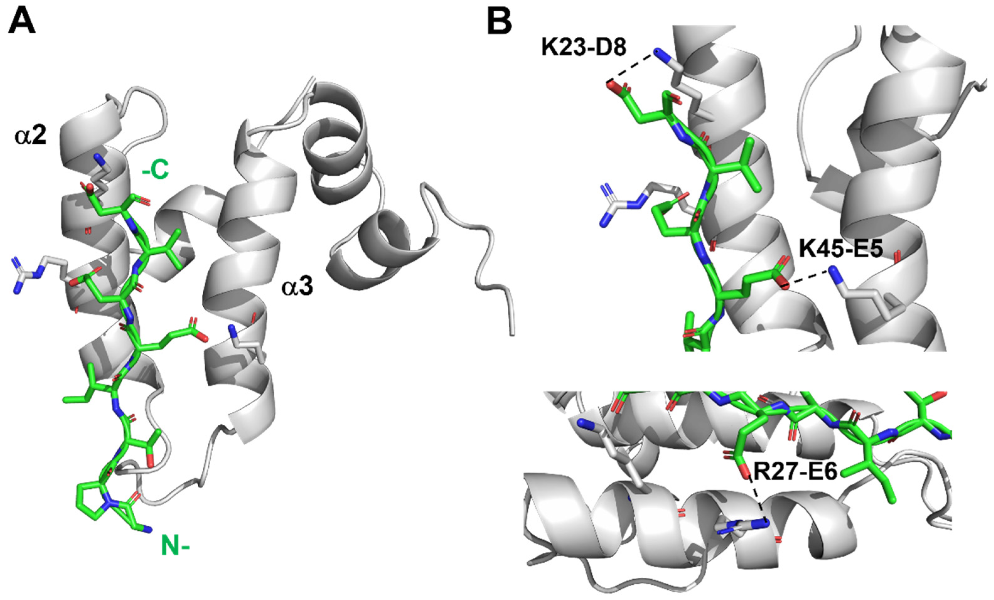 Molecules 30 00011 g005