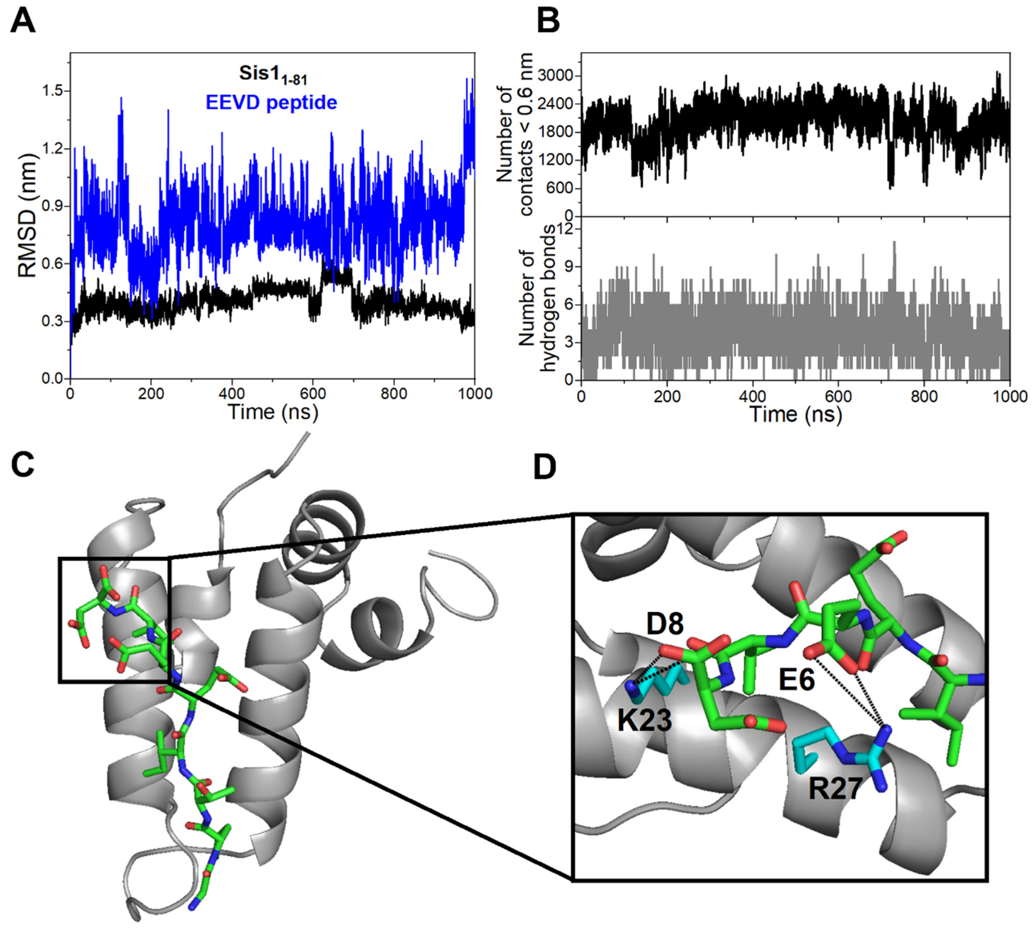 Molecules 30 00011 g006