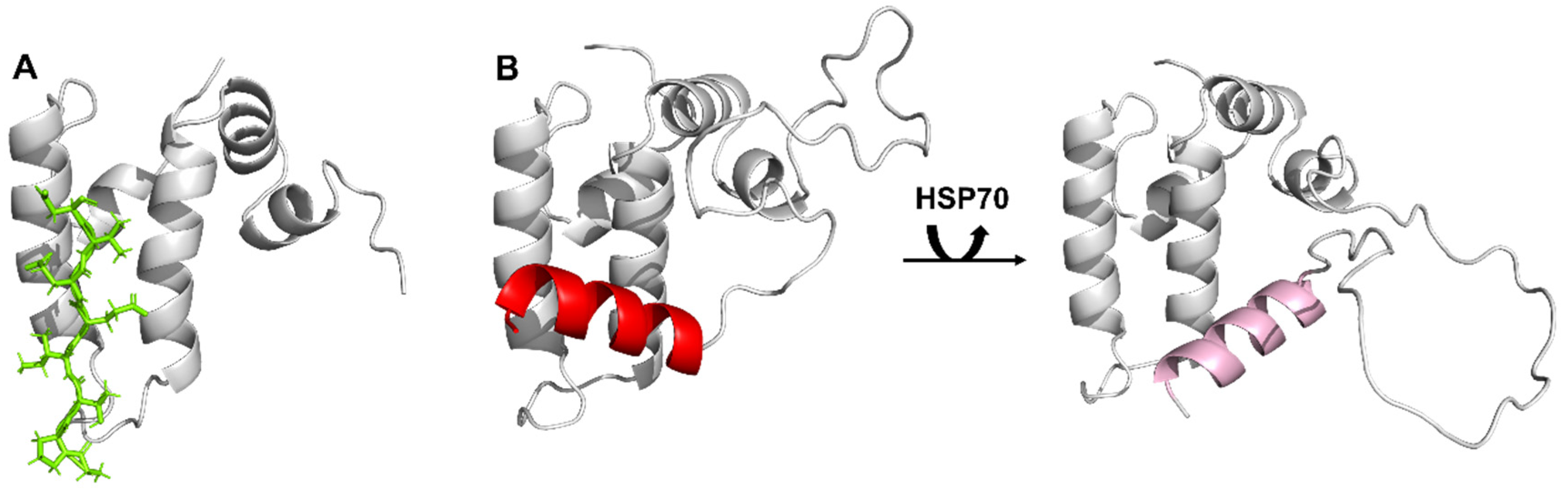 Molecules 30 00011 g007