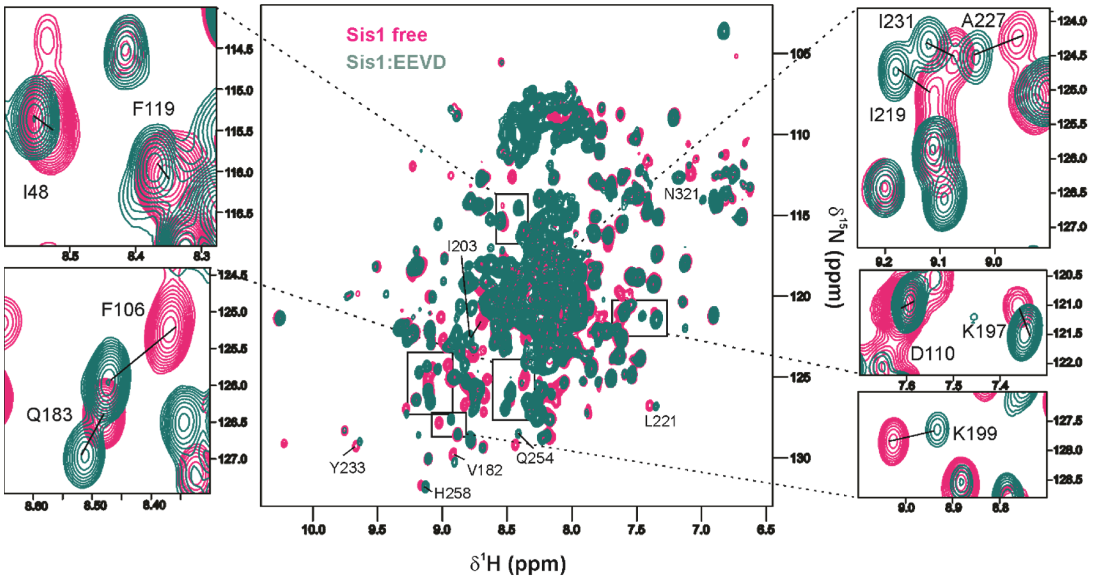 Molecules 30 00011 g010