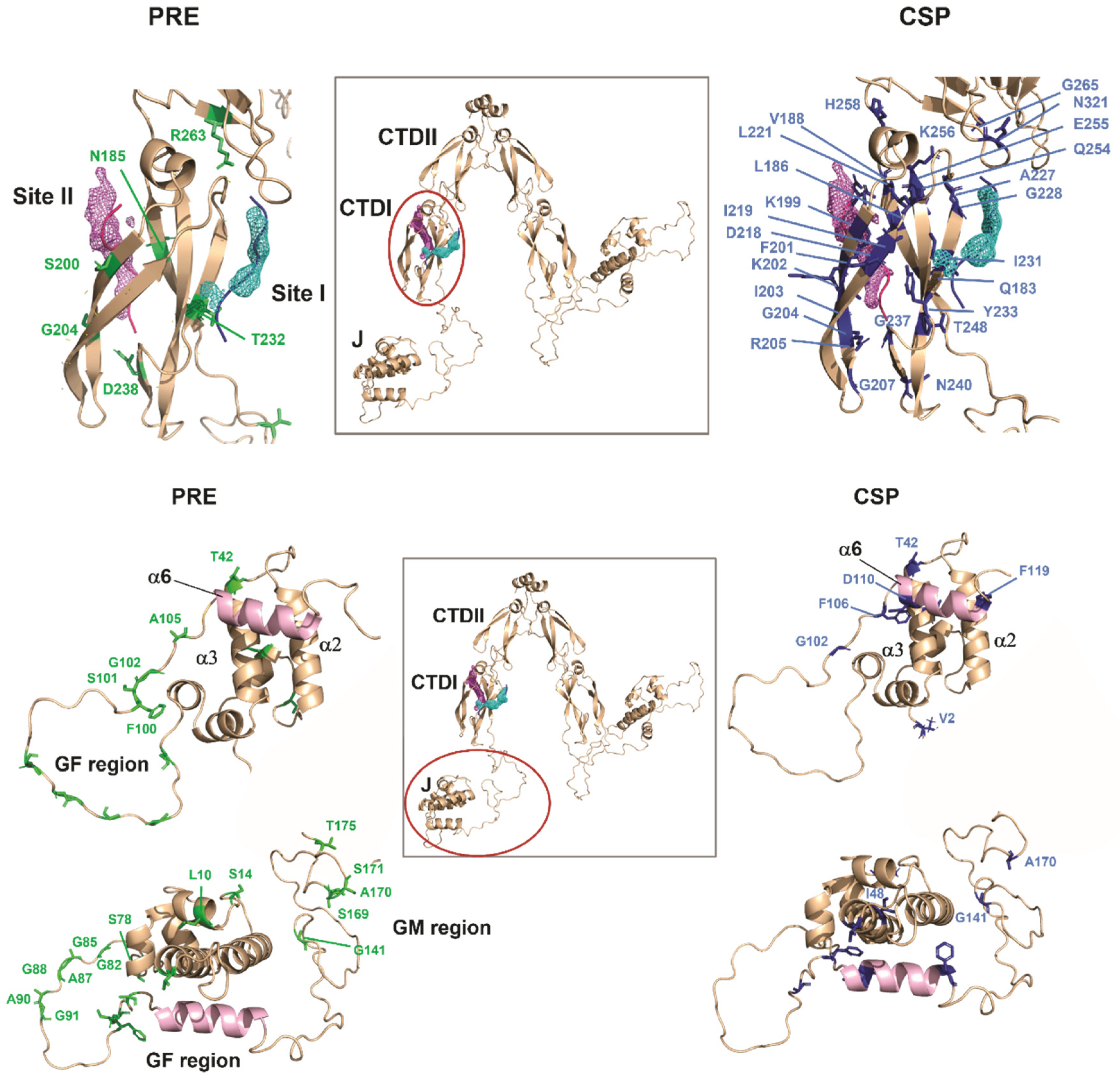 Molecules 30 00011 g011