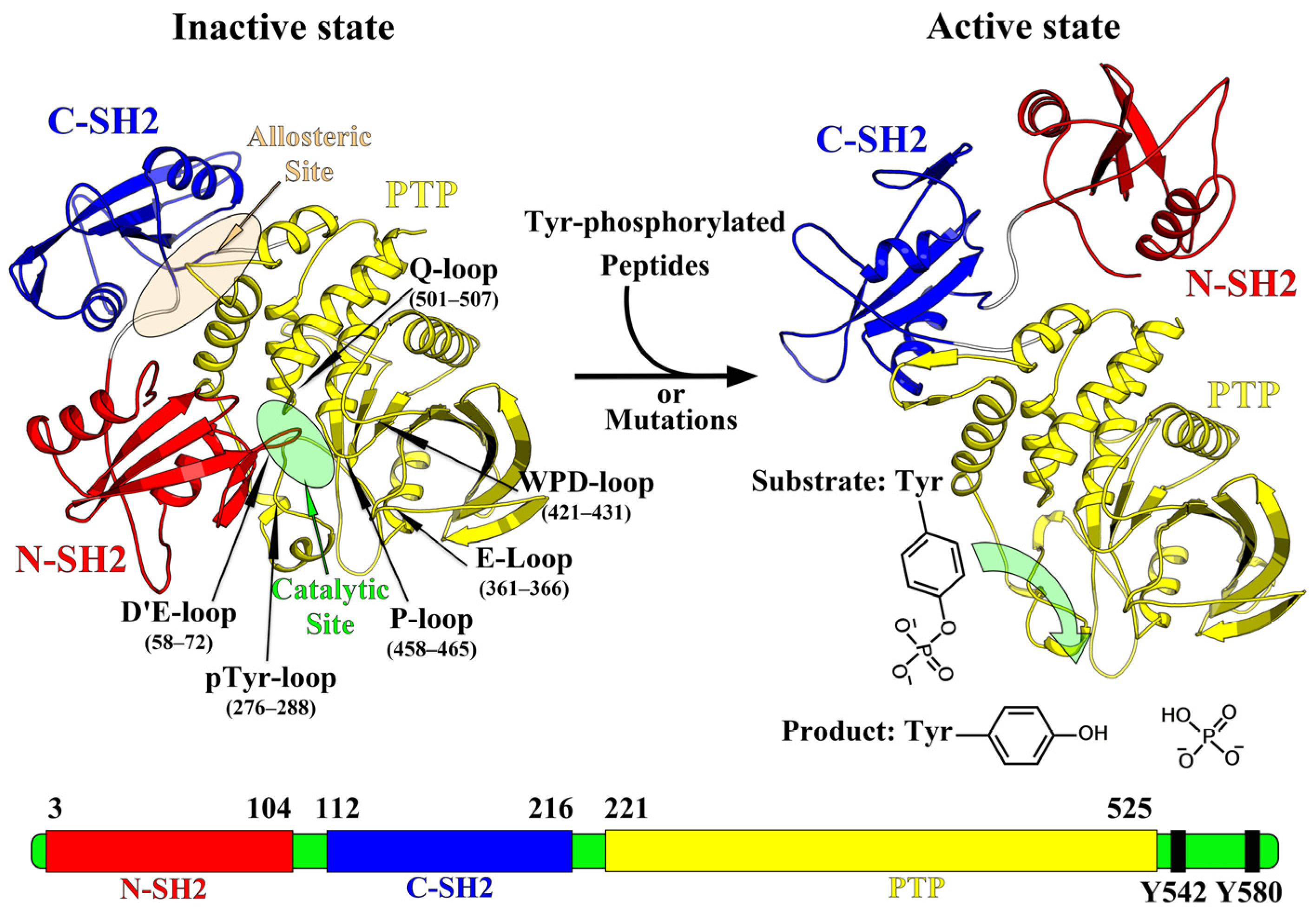 Molecules 30 00014 g001