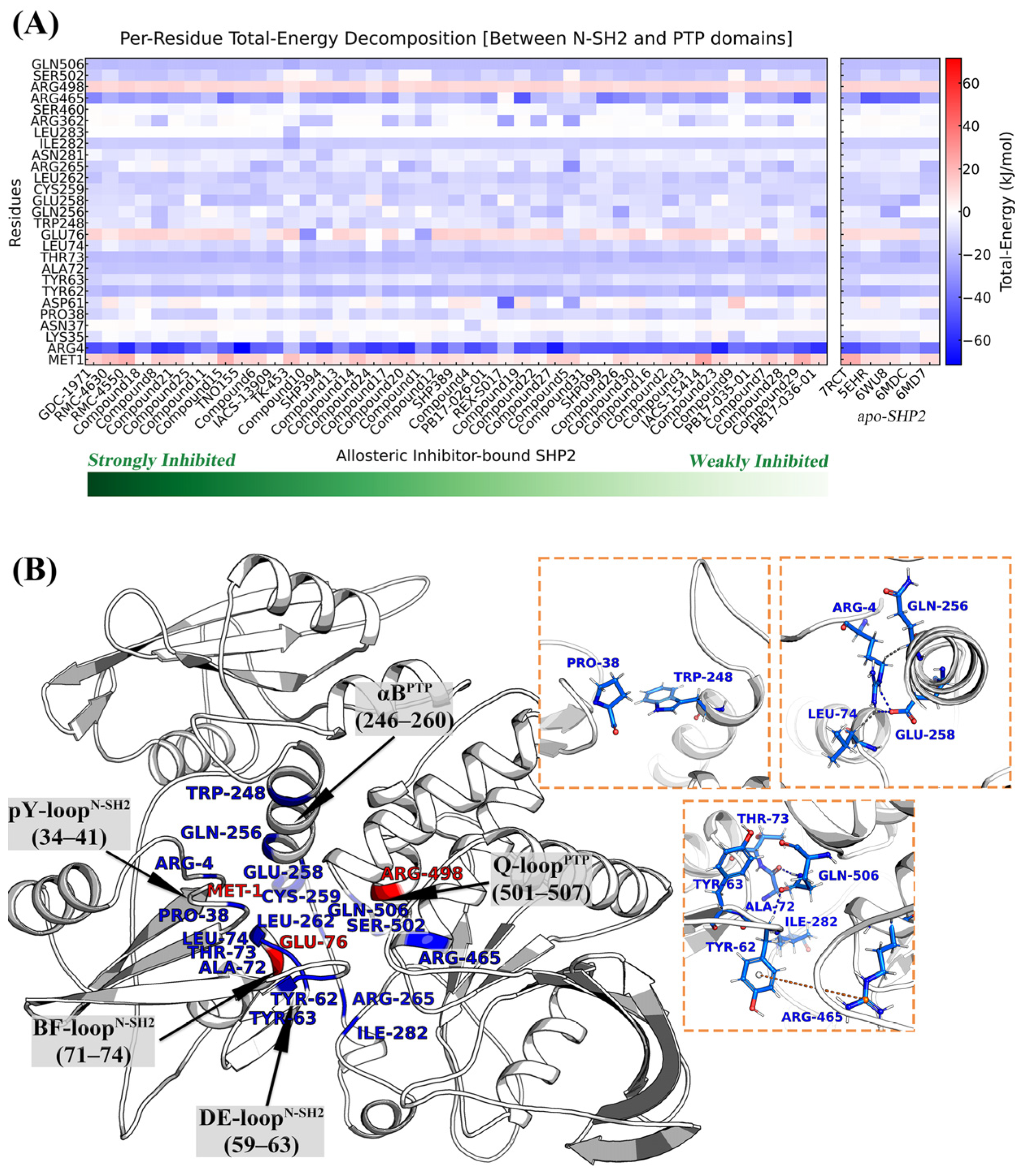 Molecules 30 00014 g005