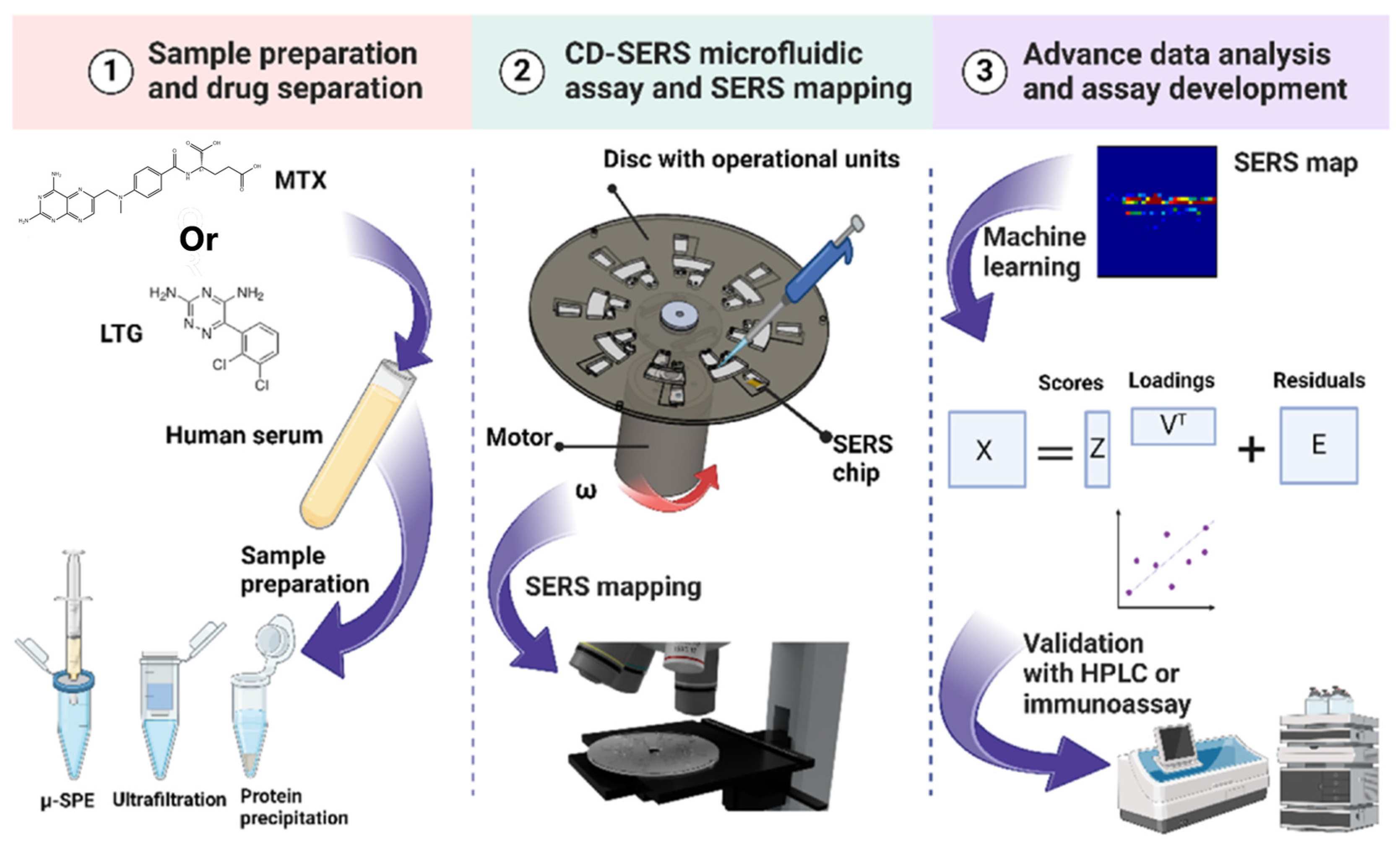 Molecules 30 00015 g004 Molecules 30 00015 g004