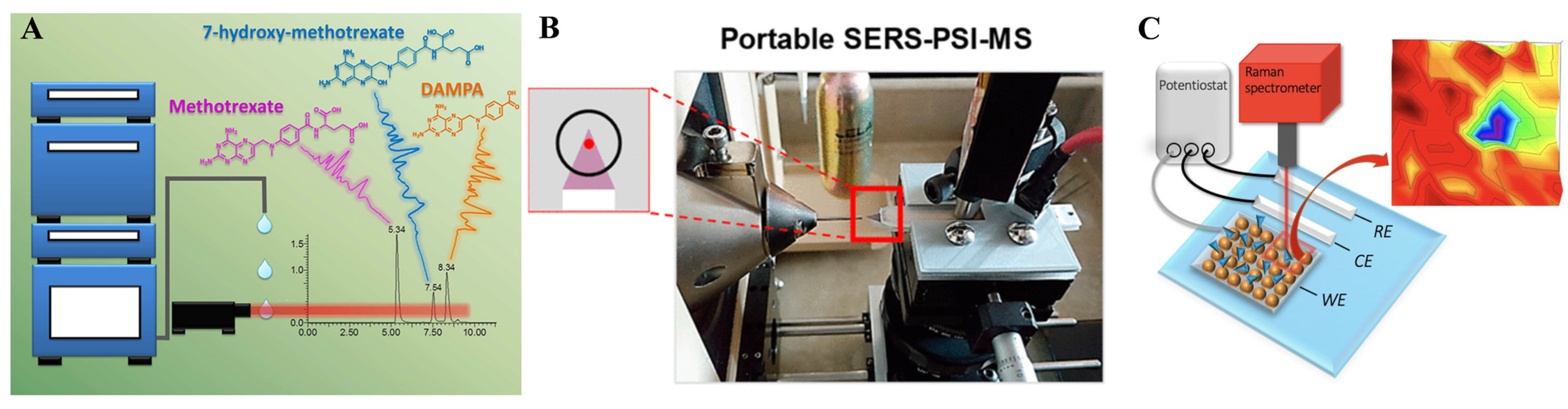 Molecules 30 00015 g005 Molecules 30 00015 g005