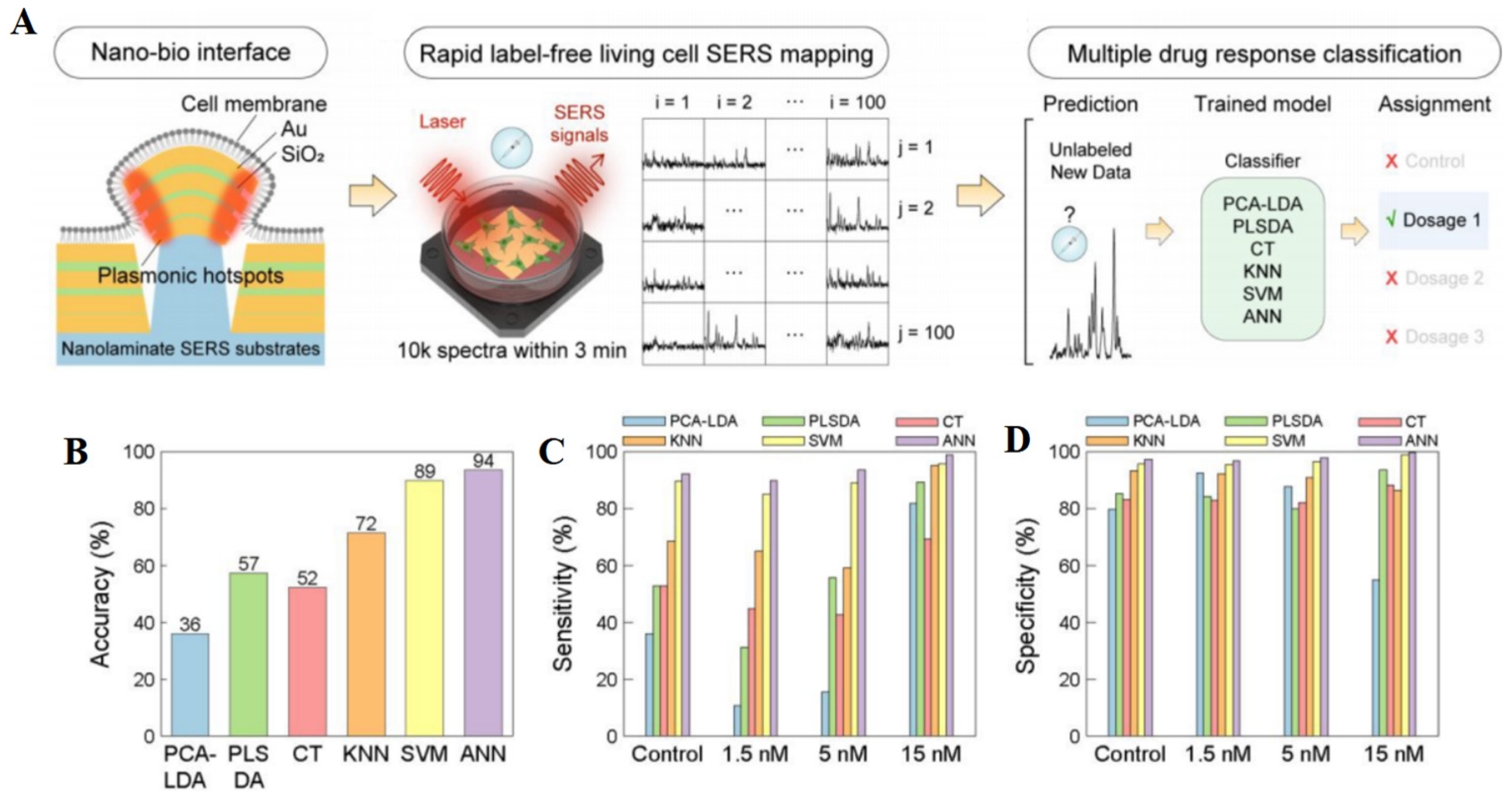Molecules 30 00015 g006 Molecules 30 00015 g006