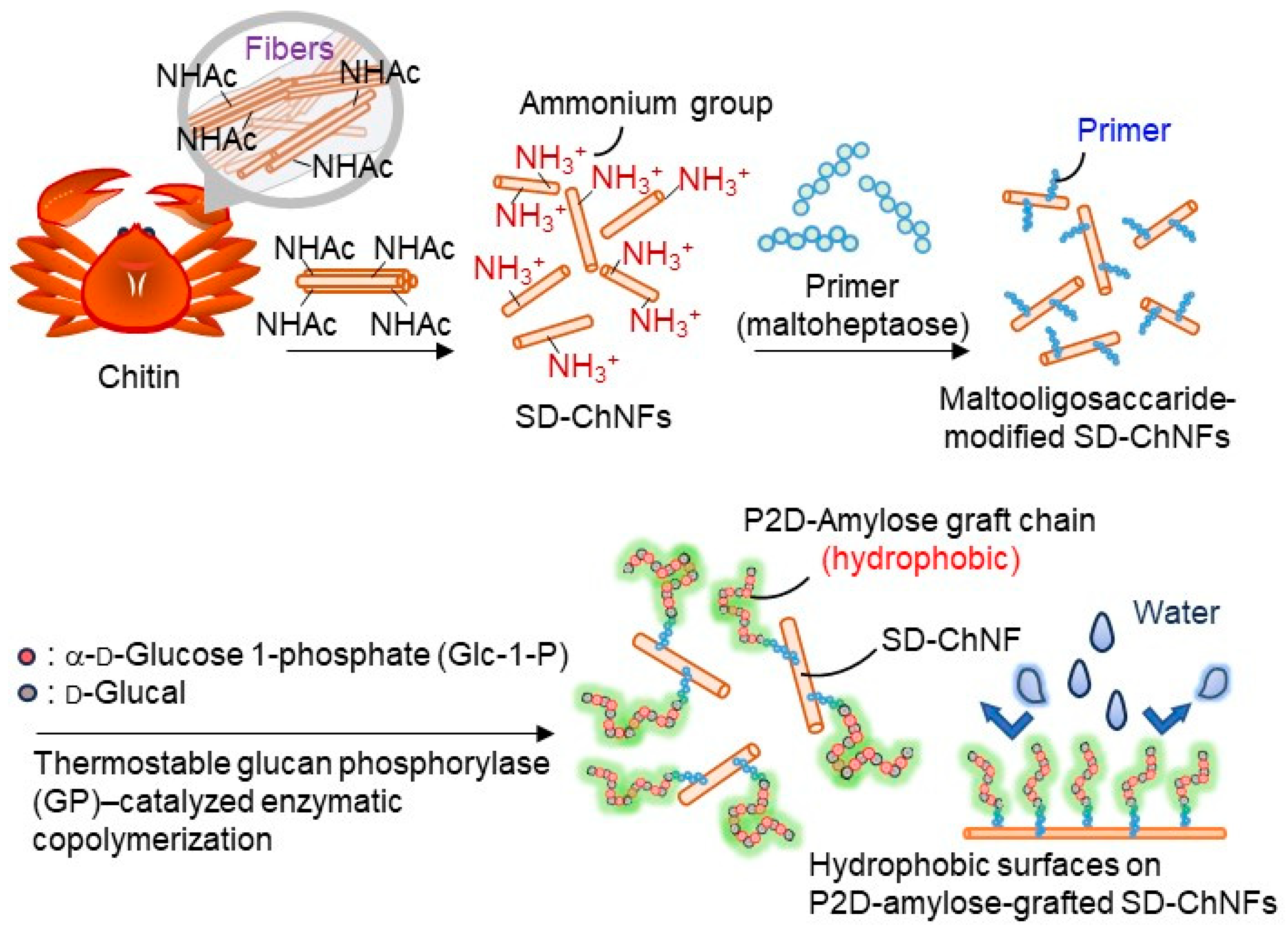Molecules 30 00016 g001