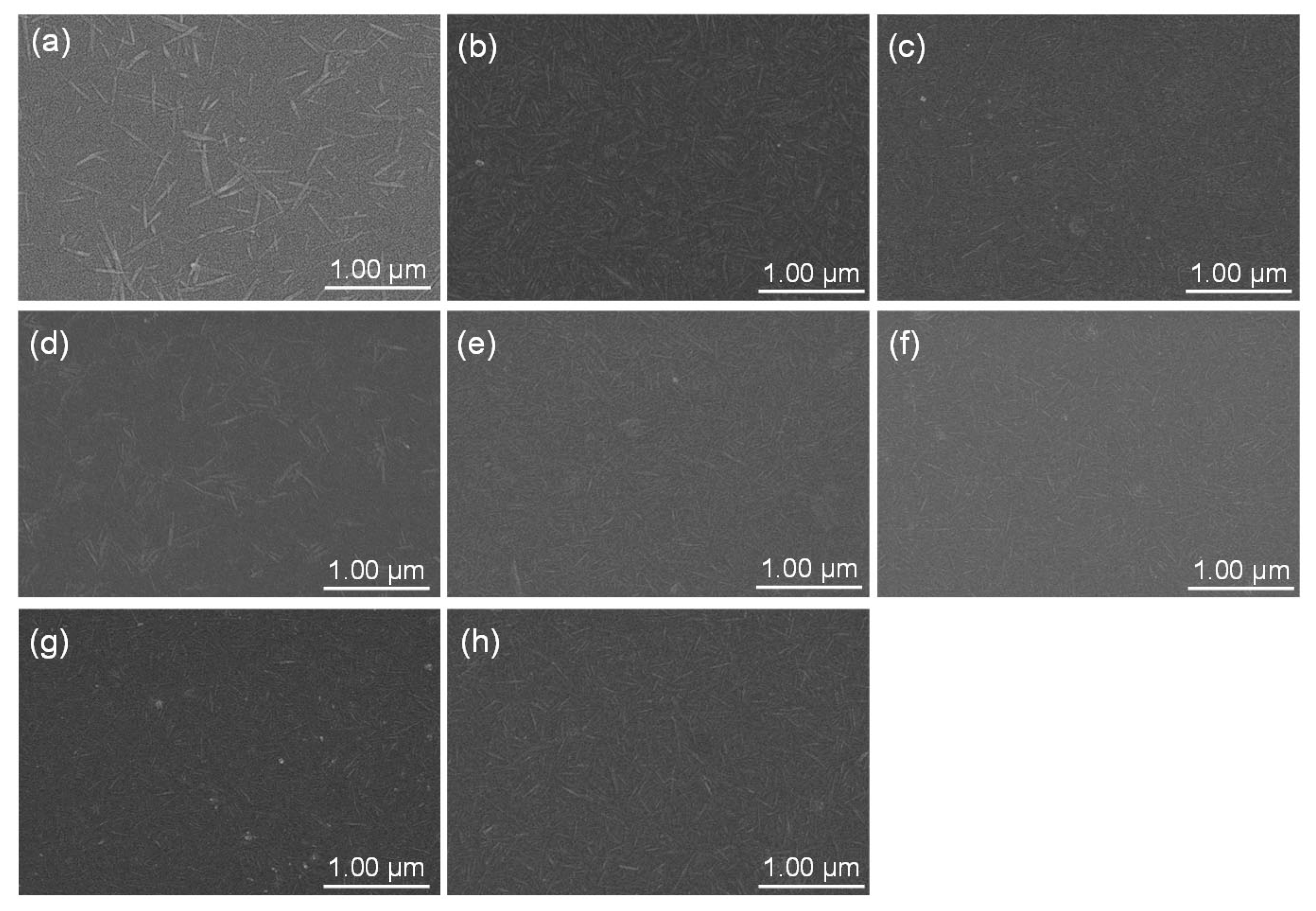 Molecules 30 00016 g004