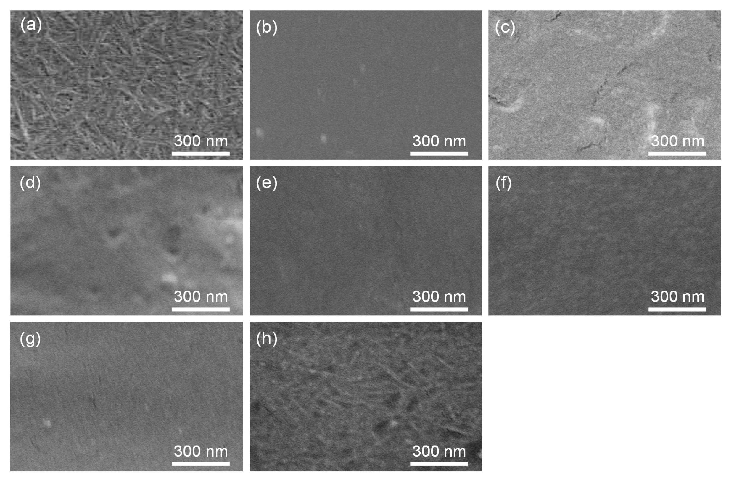 Molecules 30 00016 g005