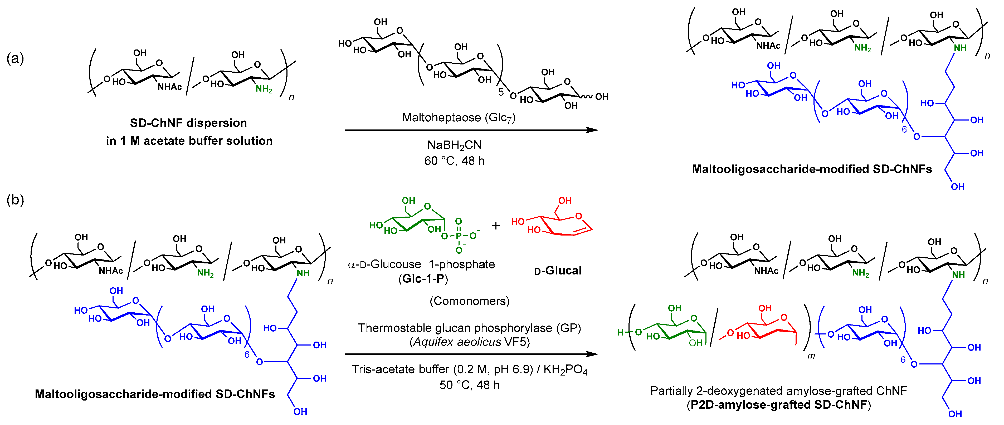 Molecules 30 00016 sch001