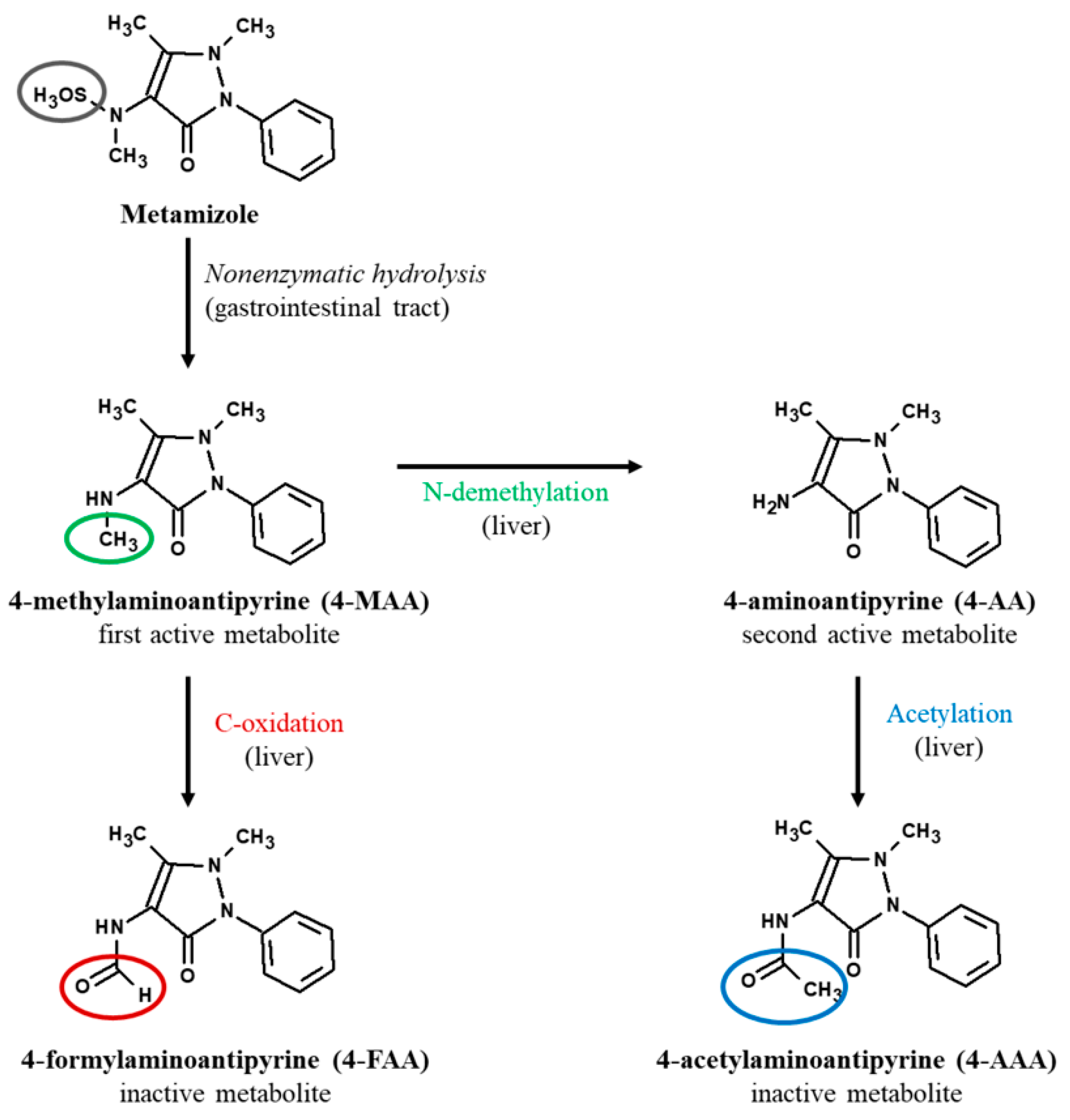 Molecules 30 00017 g001