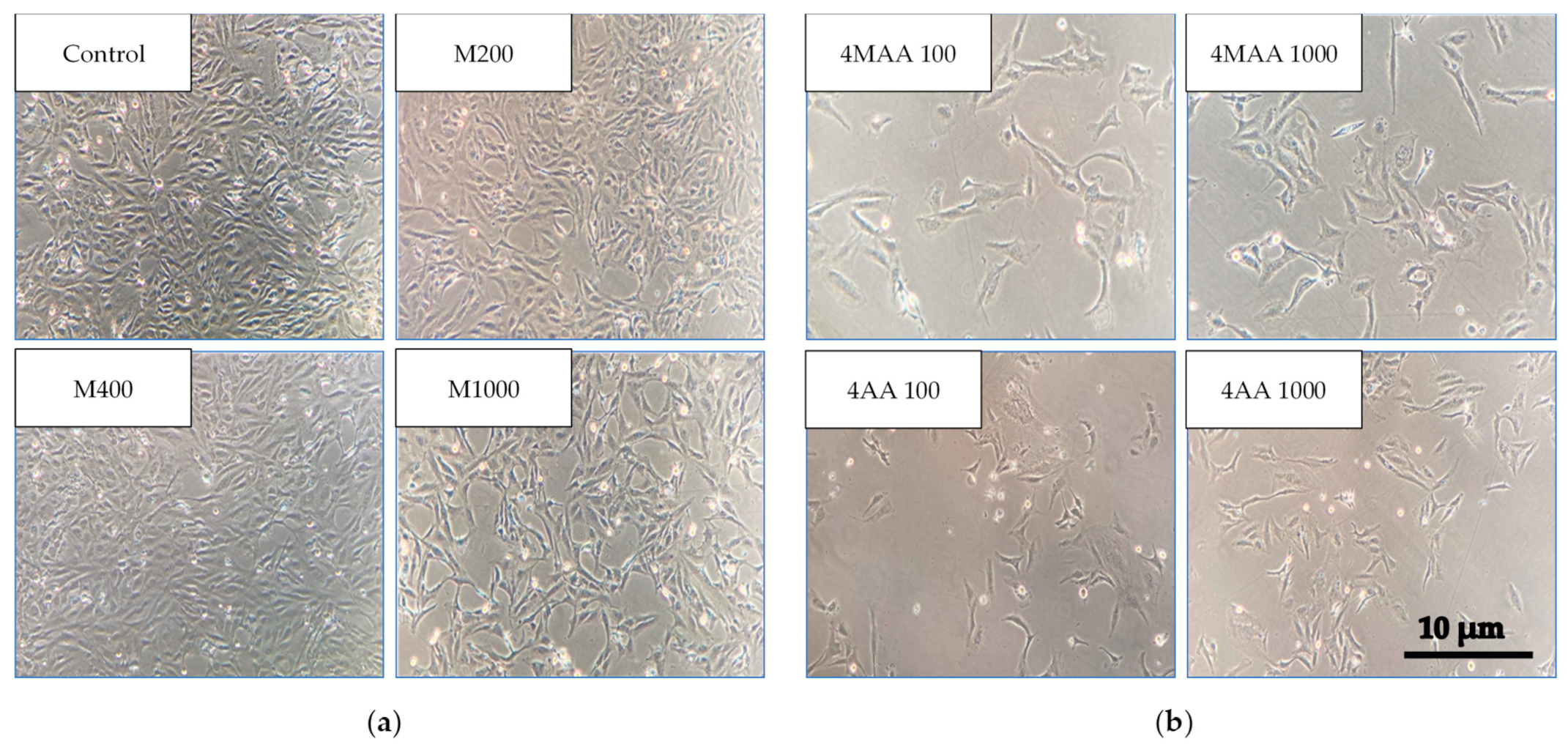 Molecules 30 00017 g003