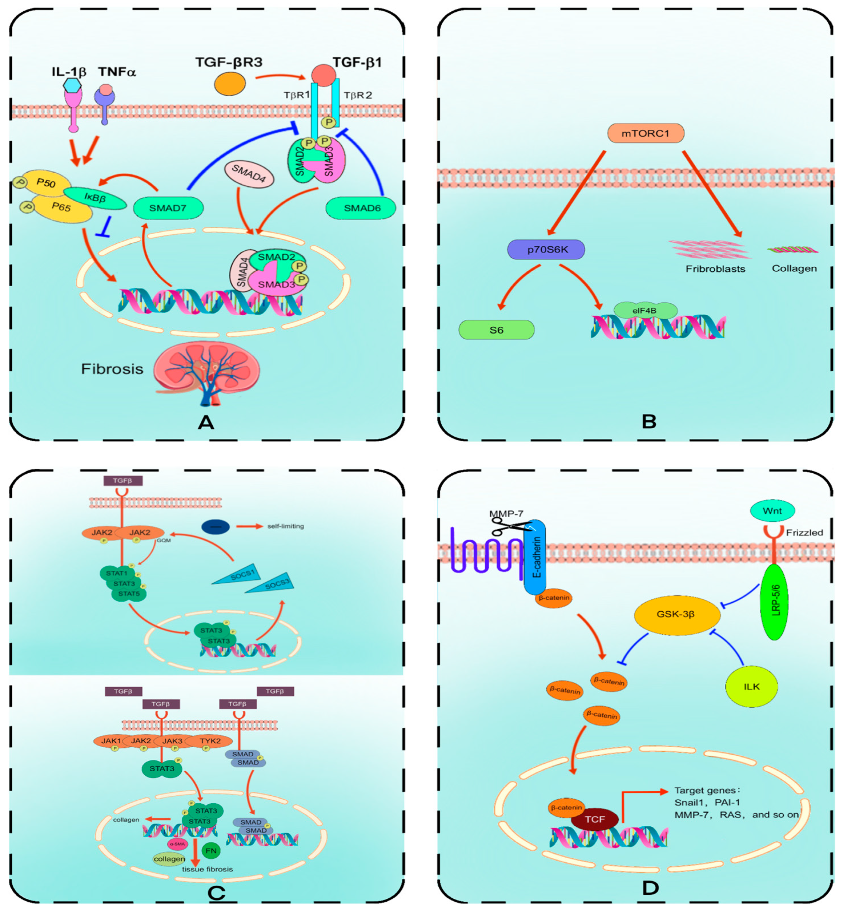Molecules 30 00020 g002