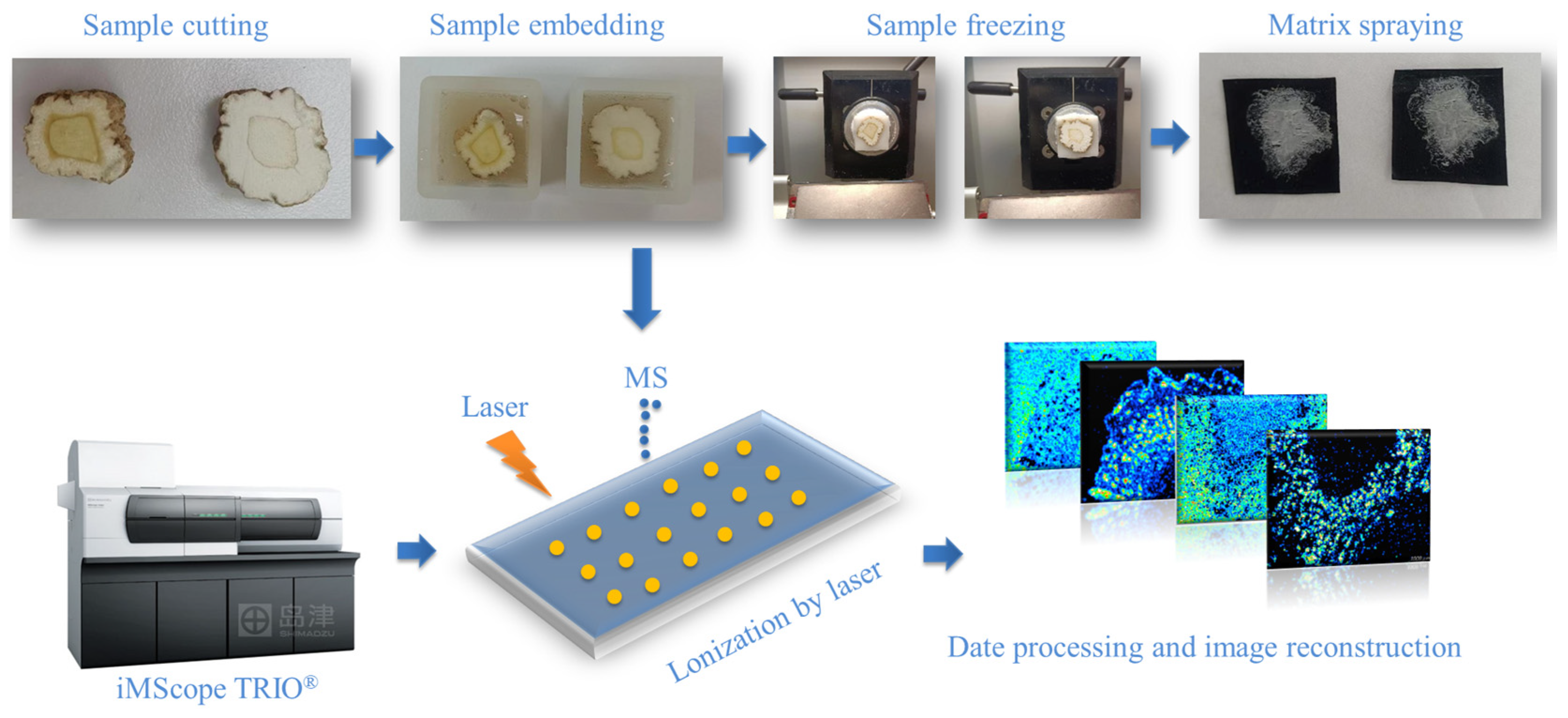Molecules 30 00022 g006