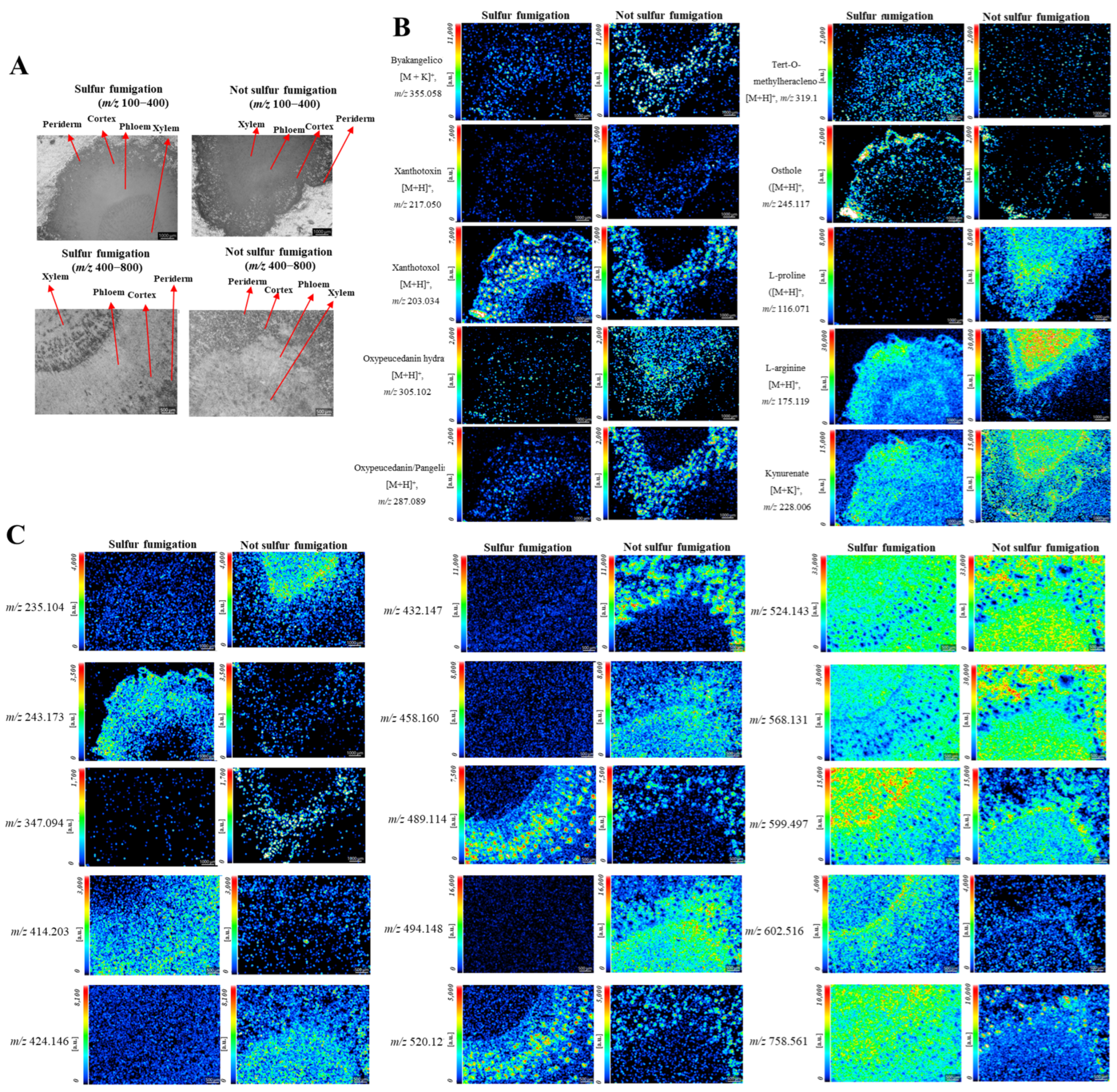Molecules 30 00022 g007