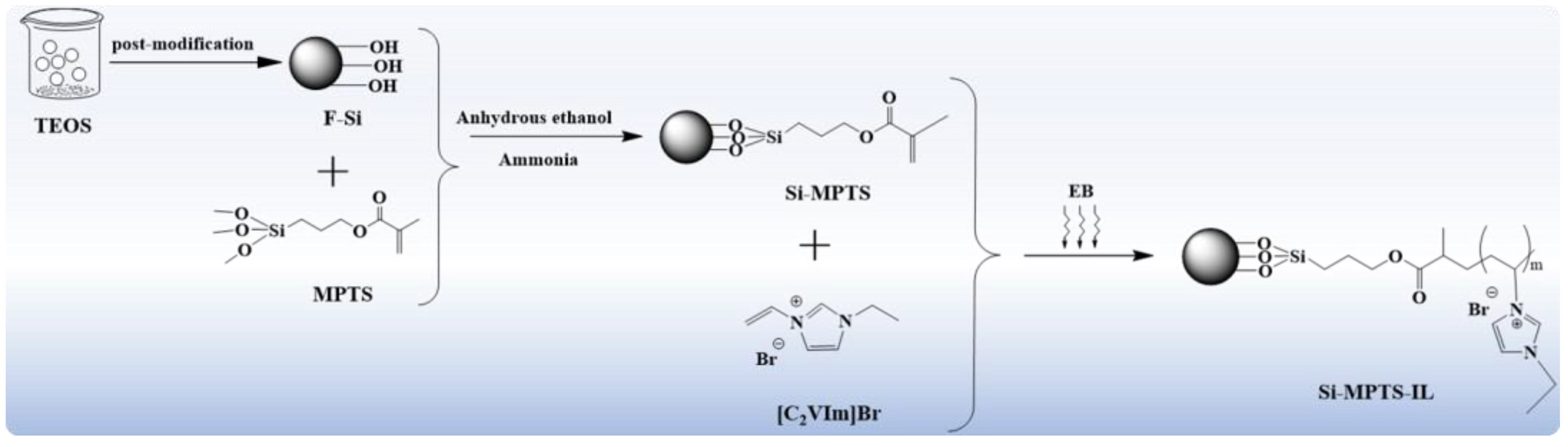 Molecules 30 00024 g001