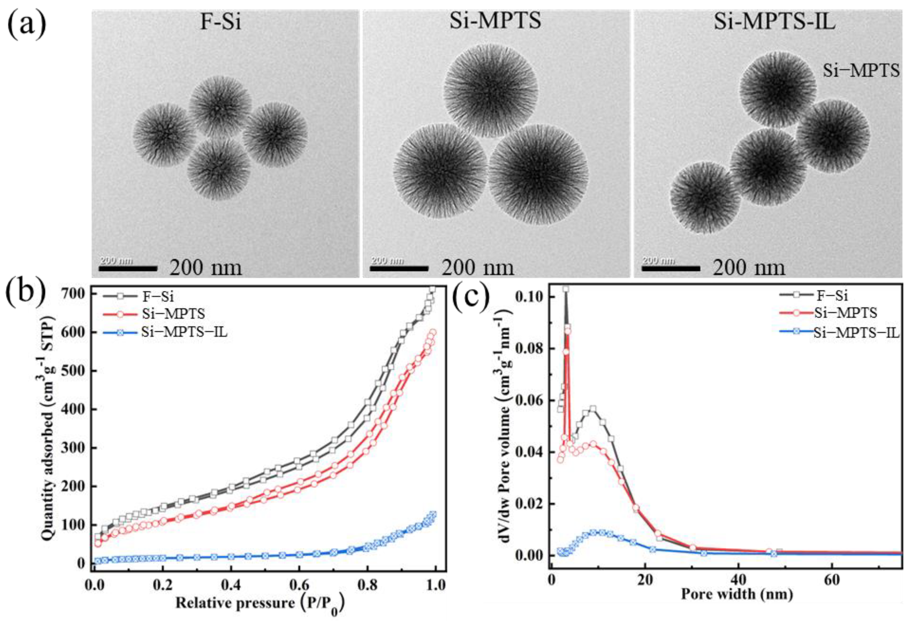 Molecules 30 00024 g002