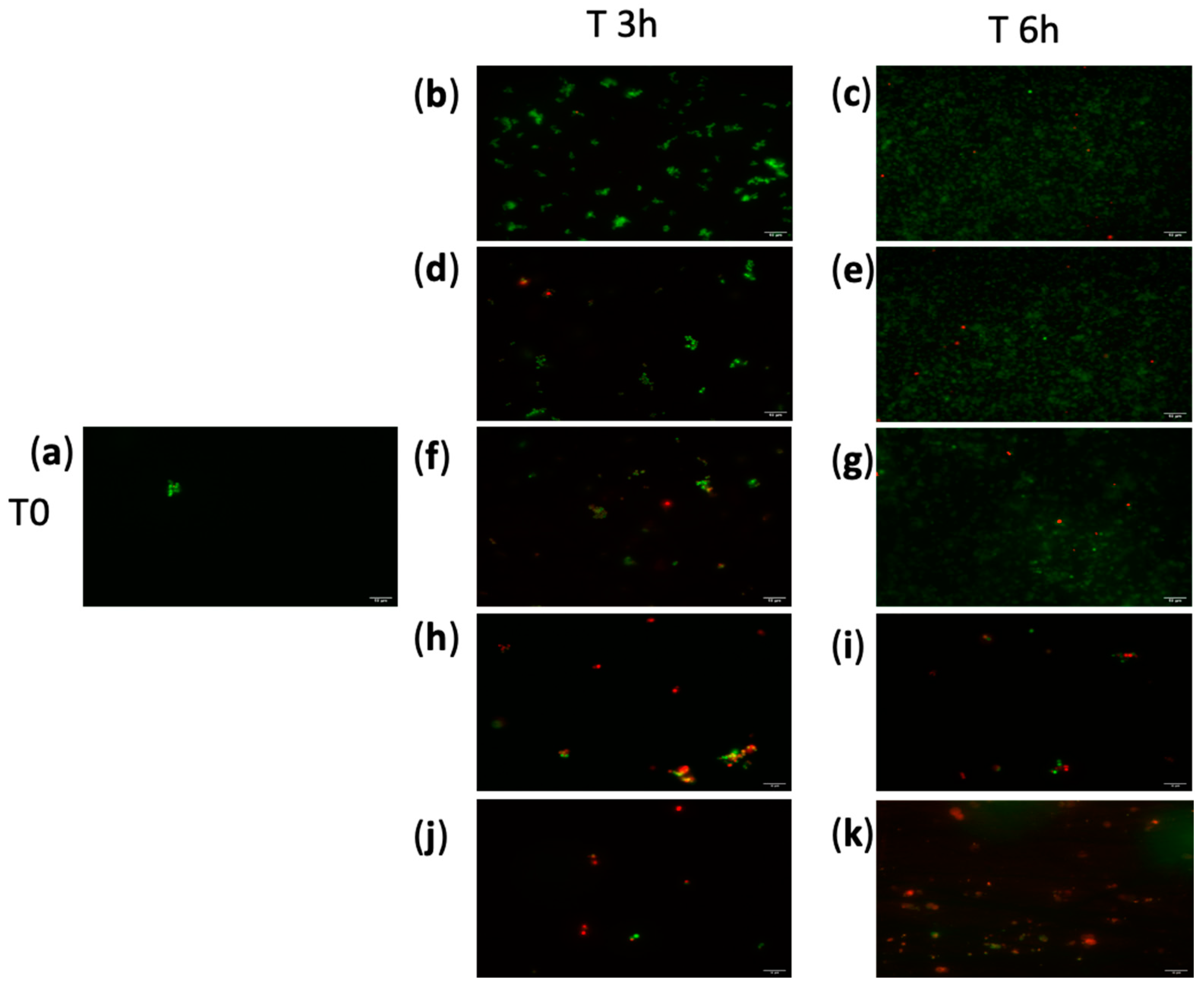 Molecules 30 00028 g007 Molecules 30 00028 g007