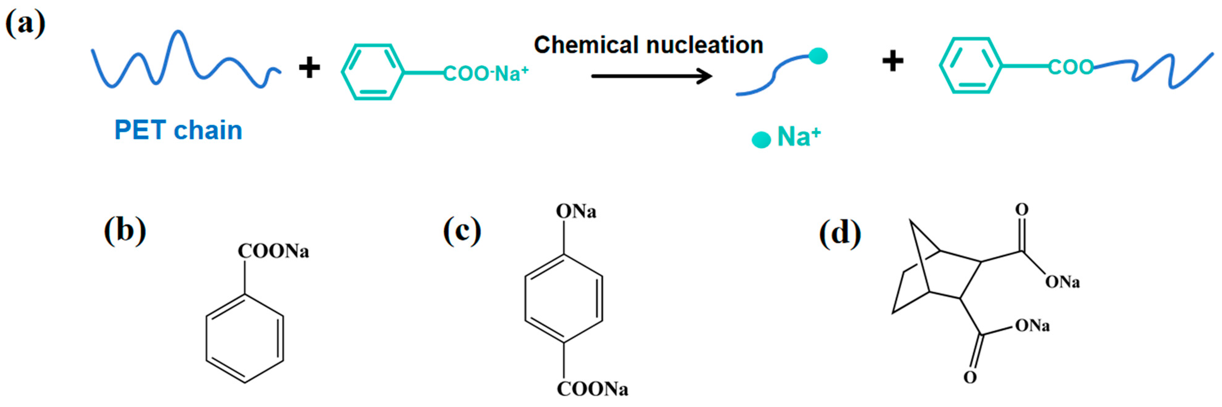 Molecules 30 00037 g001