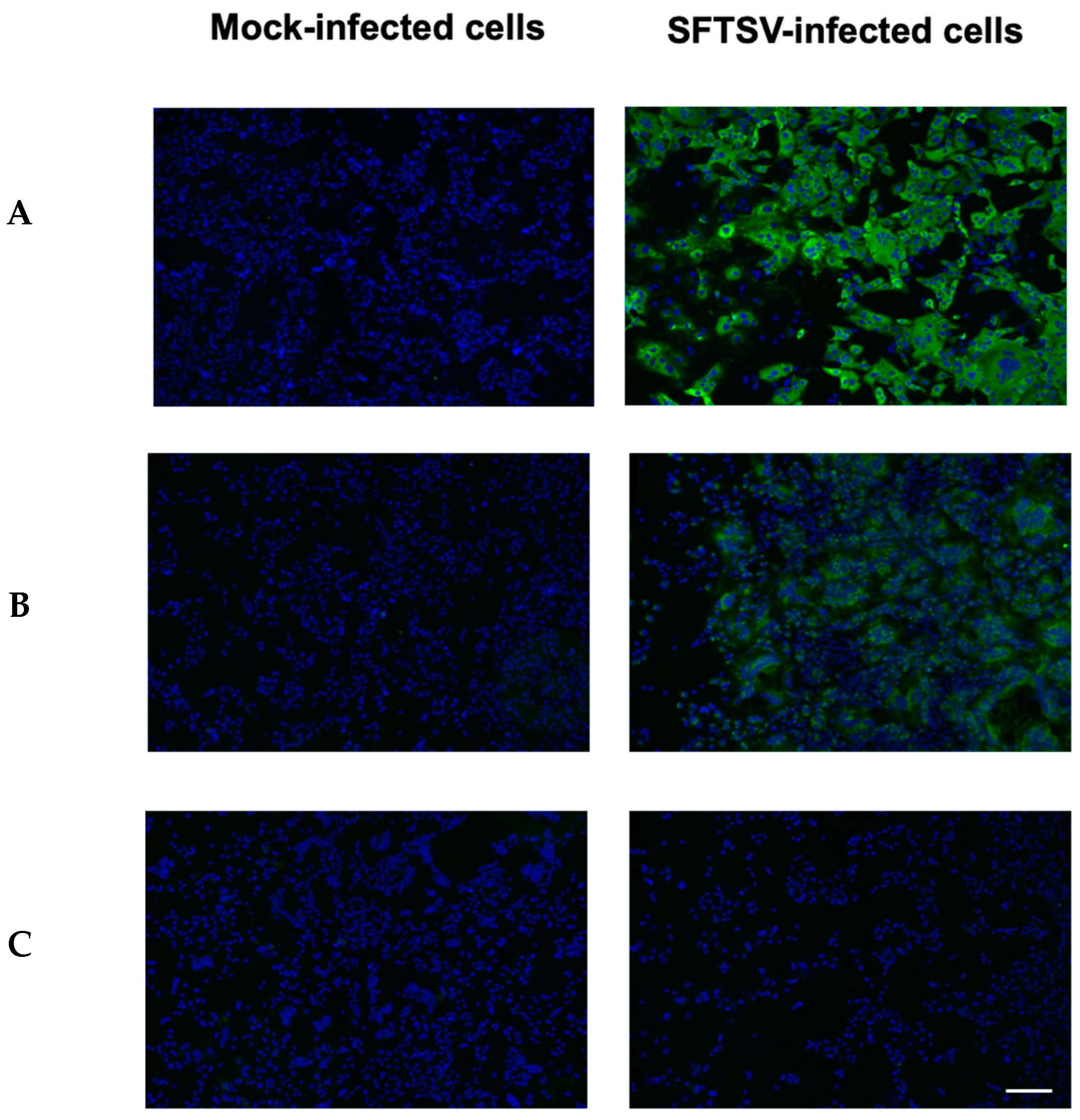 Molecules 30 00038 g001