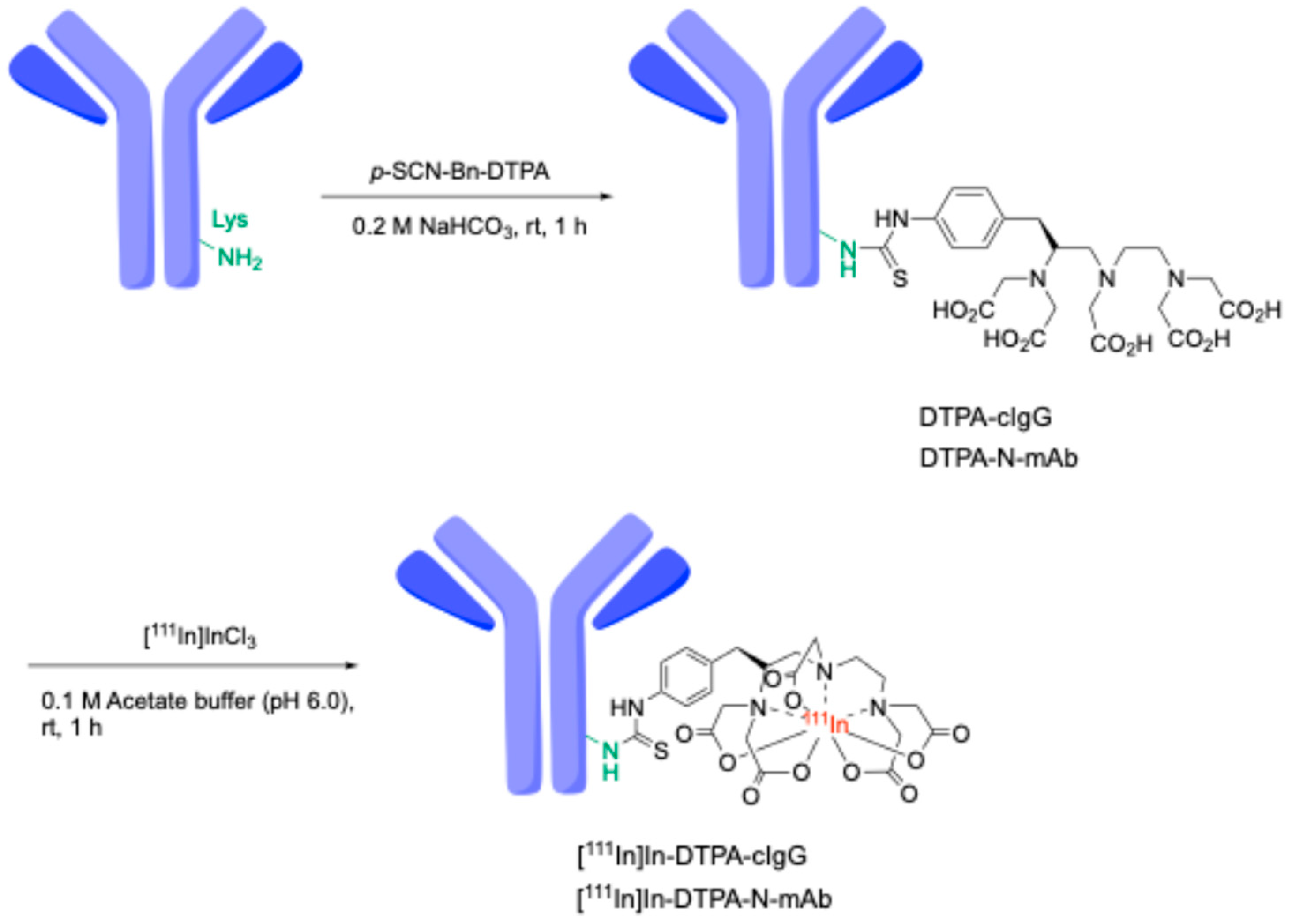 Molecules 30 00038 sch001