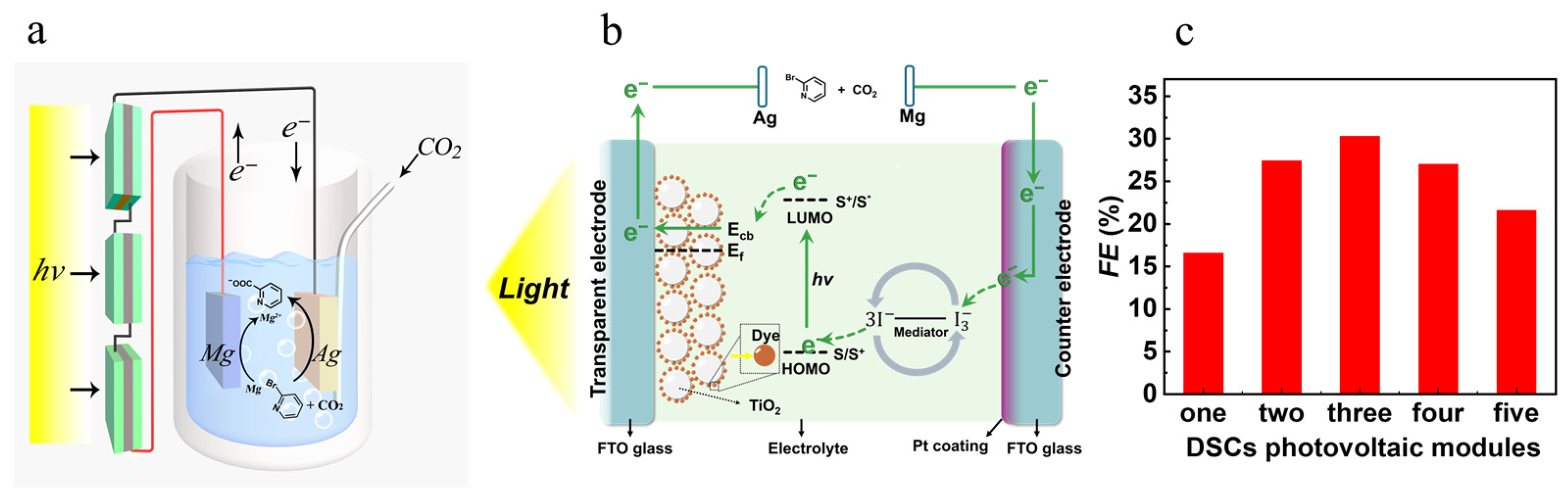 Molecules 30 00040 g004
