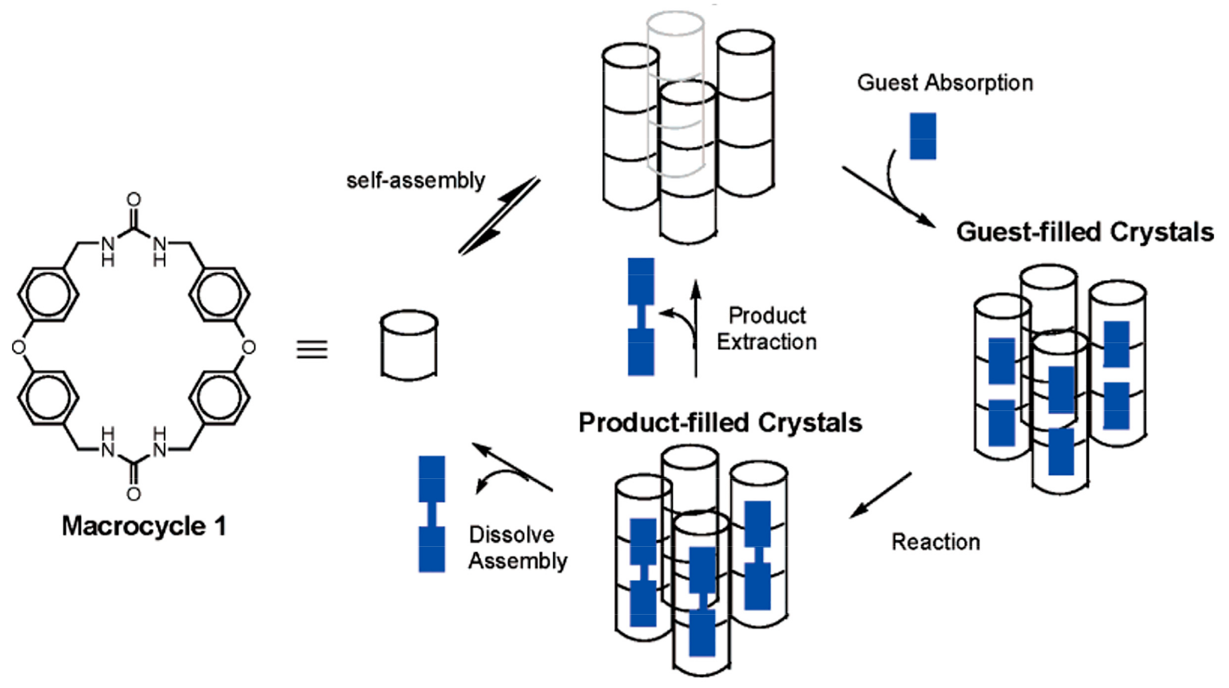 Molecules 30 00041 g007