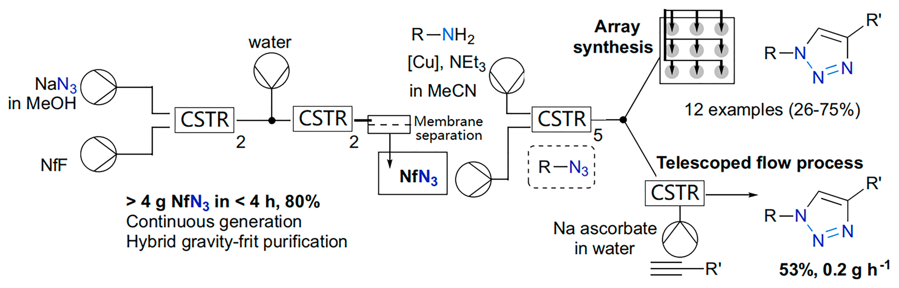 Molecules 30 00041 g025