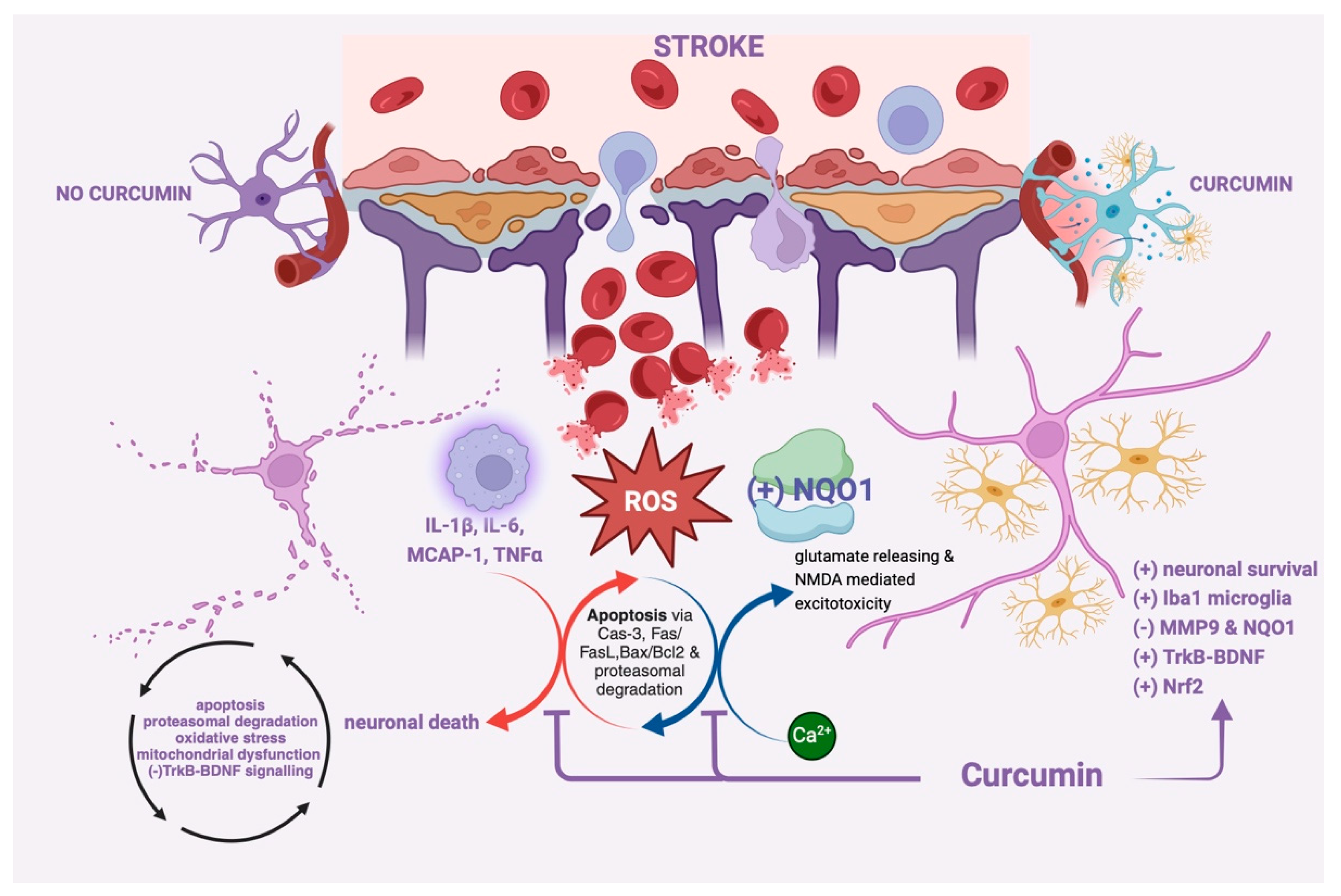 Molecules 30 00043 g002