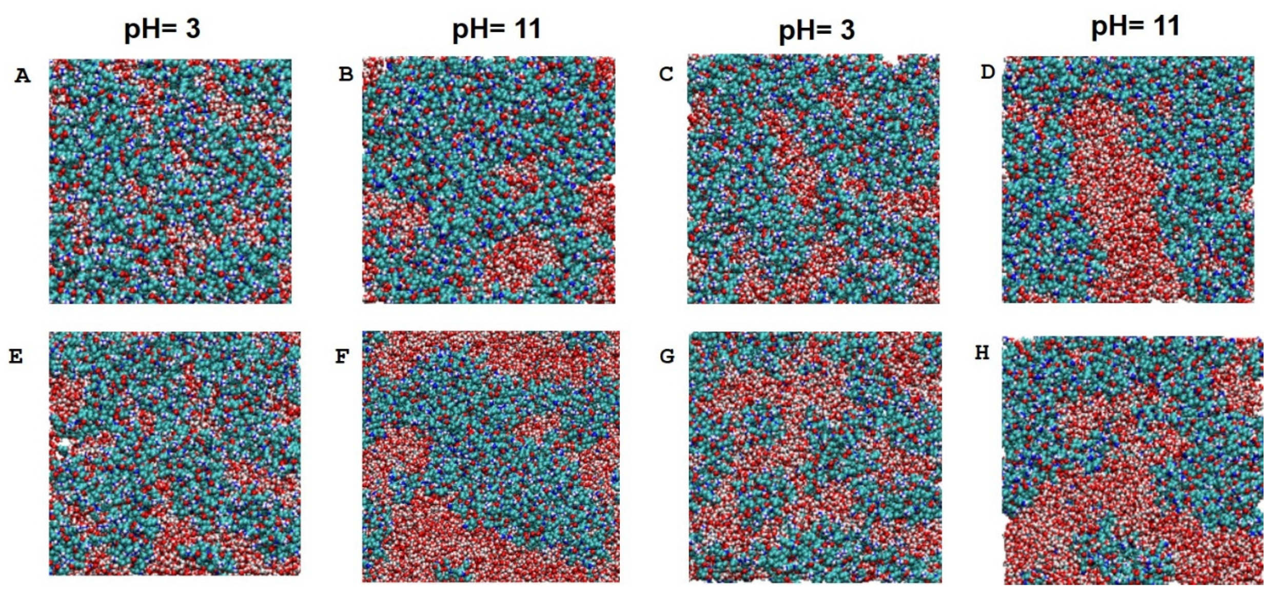 Molecules 30 00047 g006