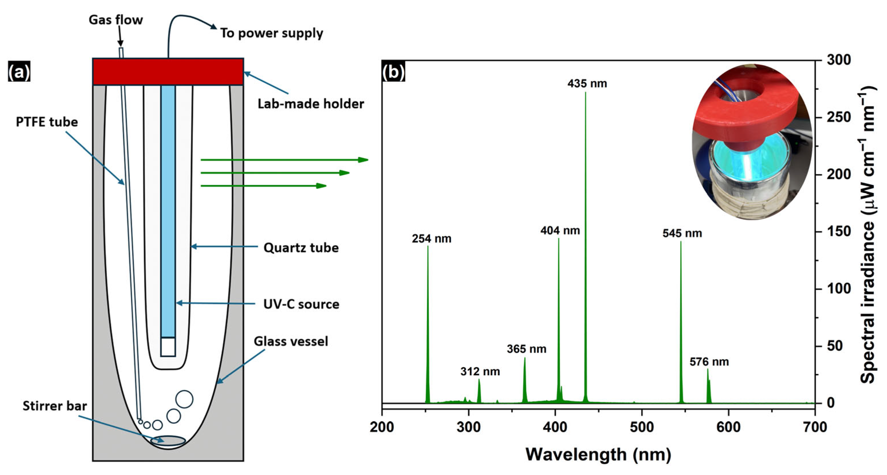Molecules 30 00049 g008