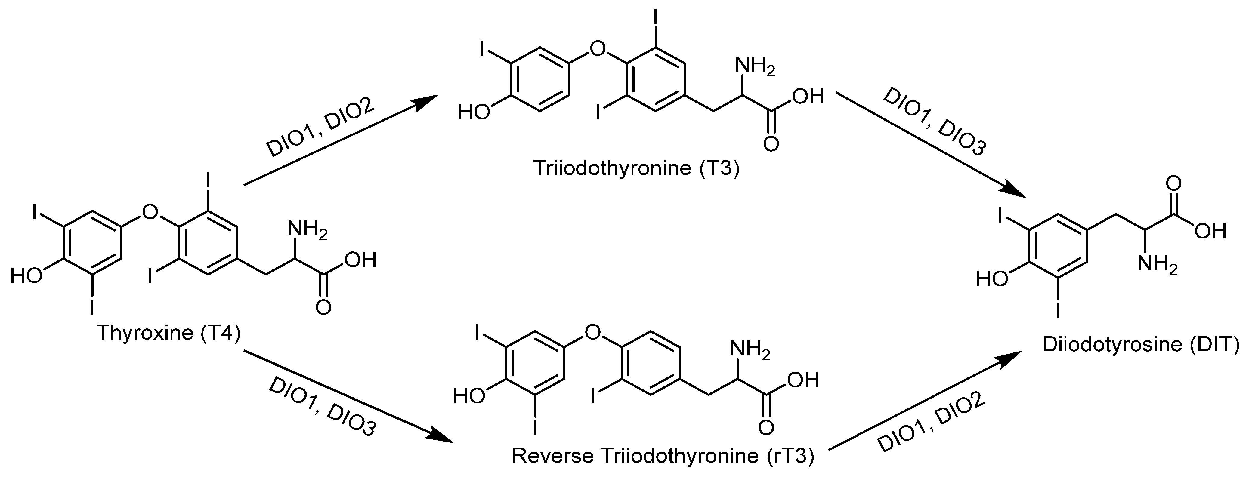 Molecules 30 00050 g009